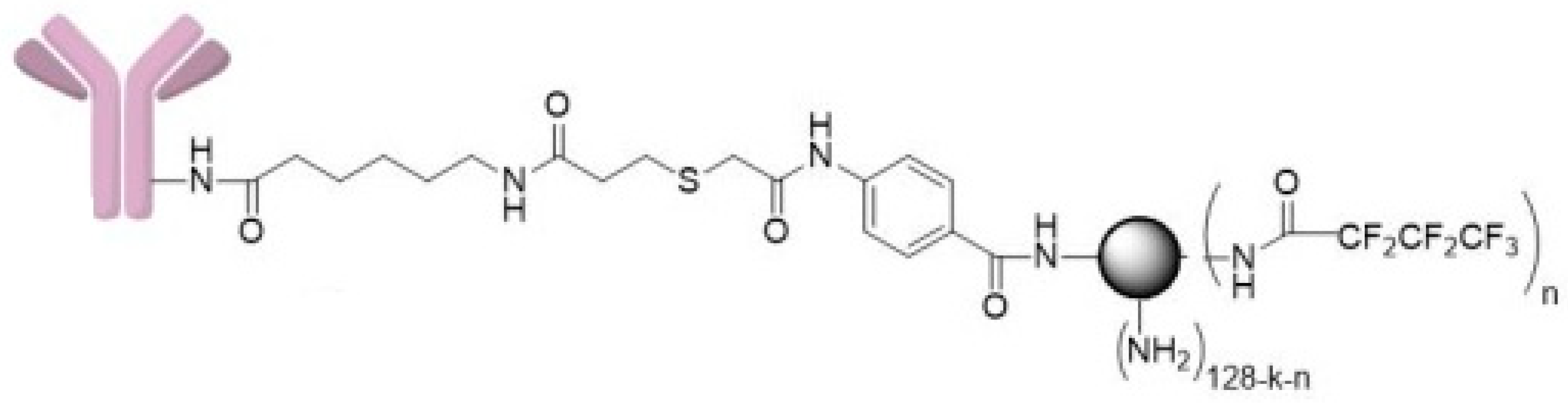 Ijms 24 04735 g007 Ijms 24 04735 g007