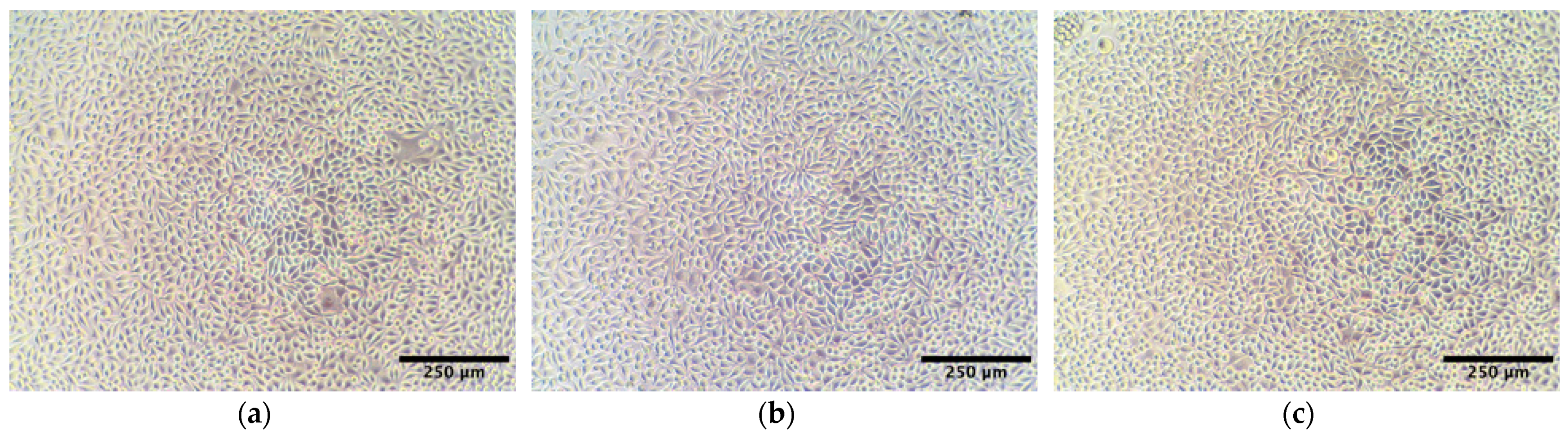 Ijms 24 04740 g004 Ijms 24 04740 g004