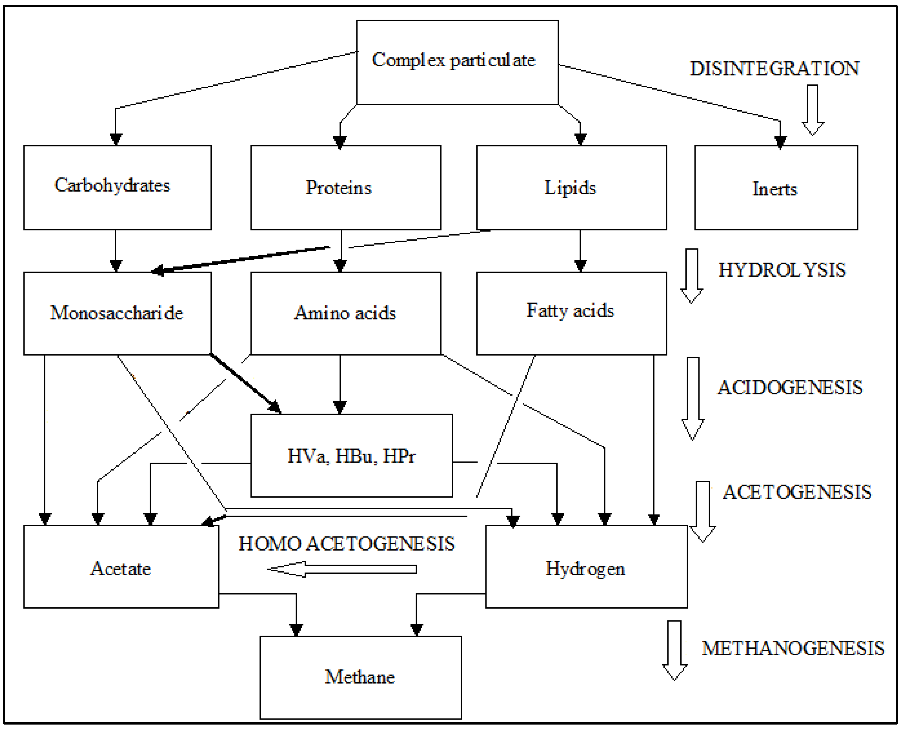 Ijms 24 04753 g003 Ijms 24 04753 g003