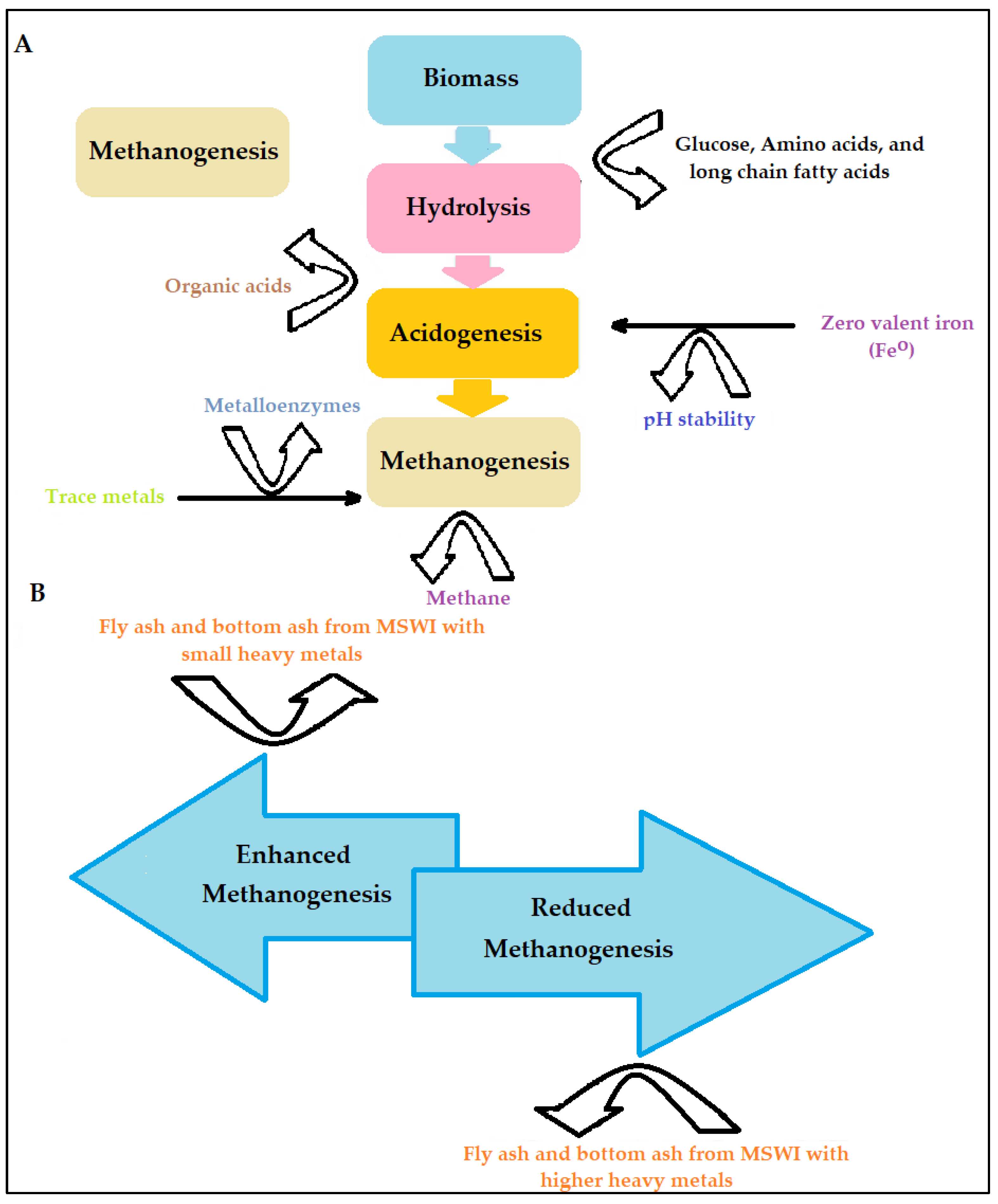 Ijms 24 04753 g005 Ijms 24 04753 g005