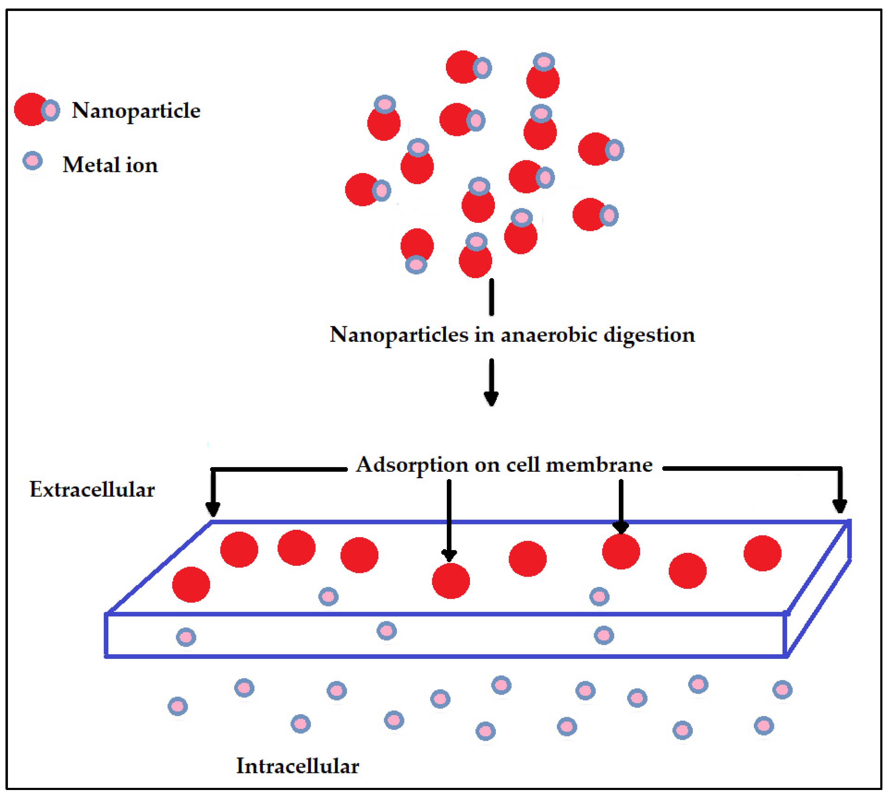 Ijms 24 04753 g006 Ijms 24 04753 g006