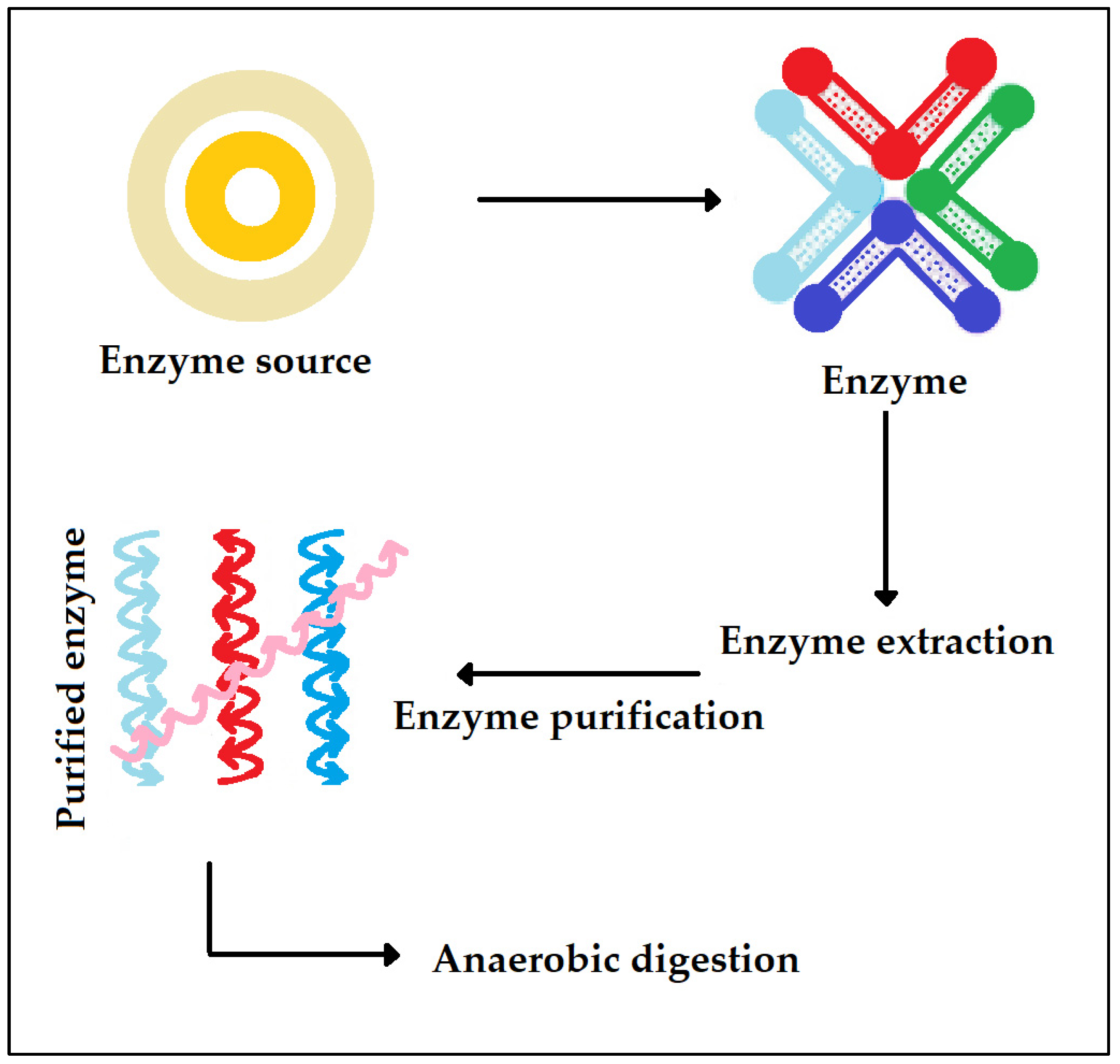 Ijms 24 04753 g007 Ijms 24 04753 g007