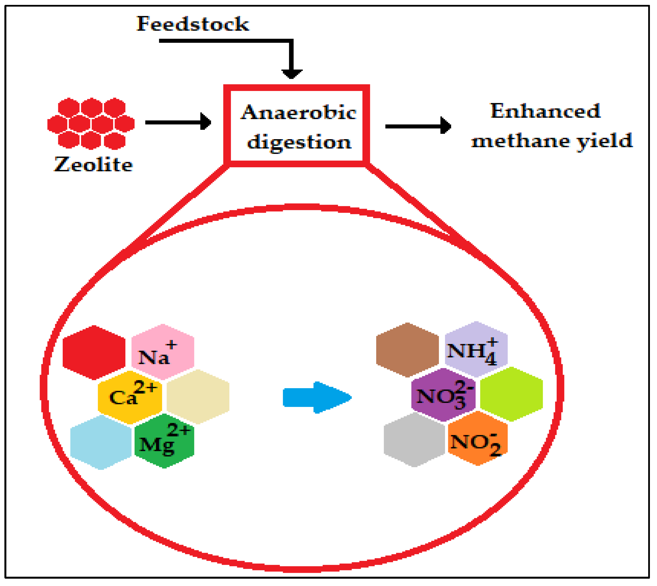 Ijms 24 04753 g008 Ijms 24 04753 g008