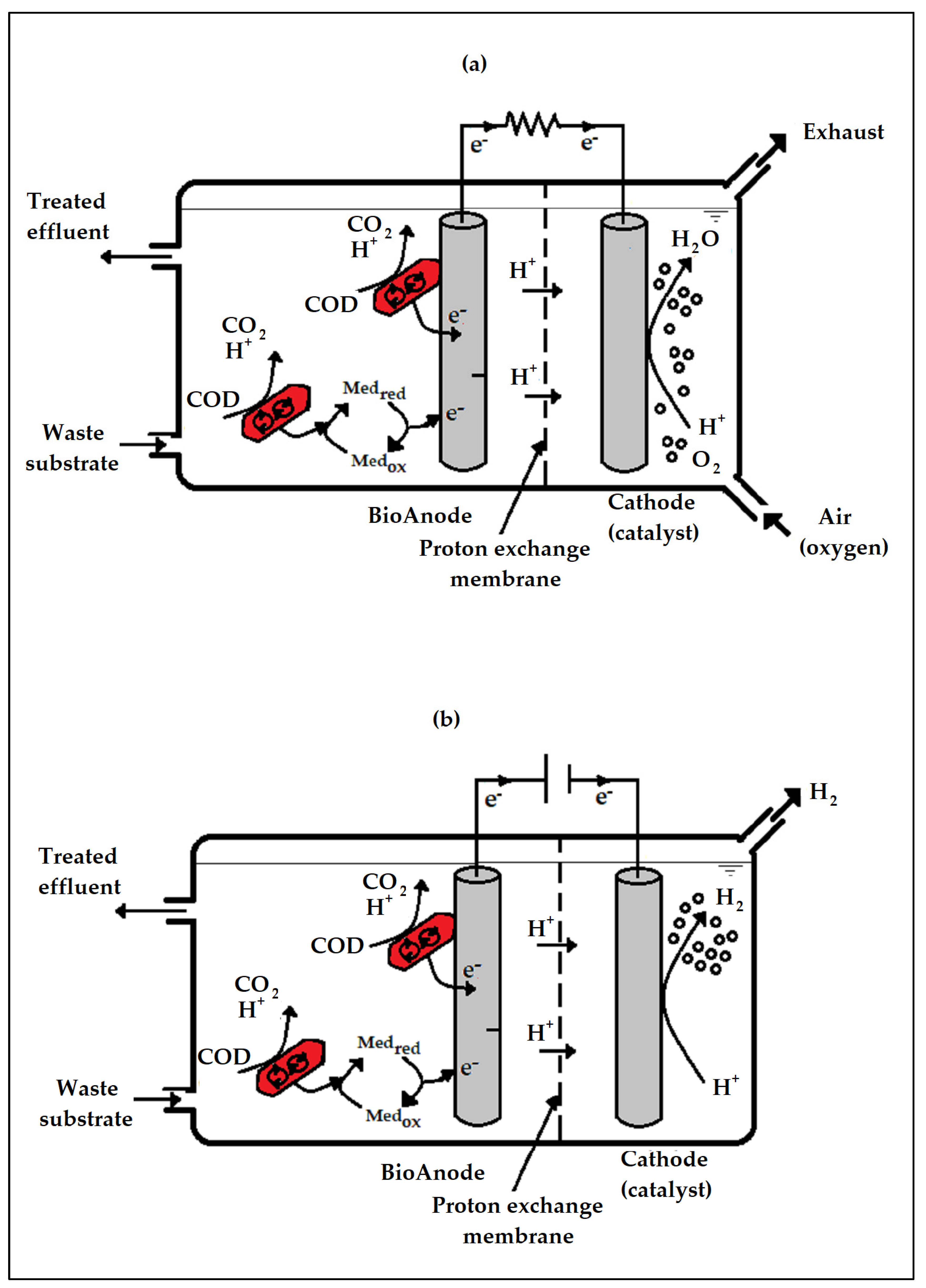 Ijms 24 04753 g009 Ijms 24 04753 g009