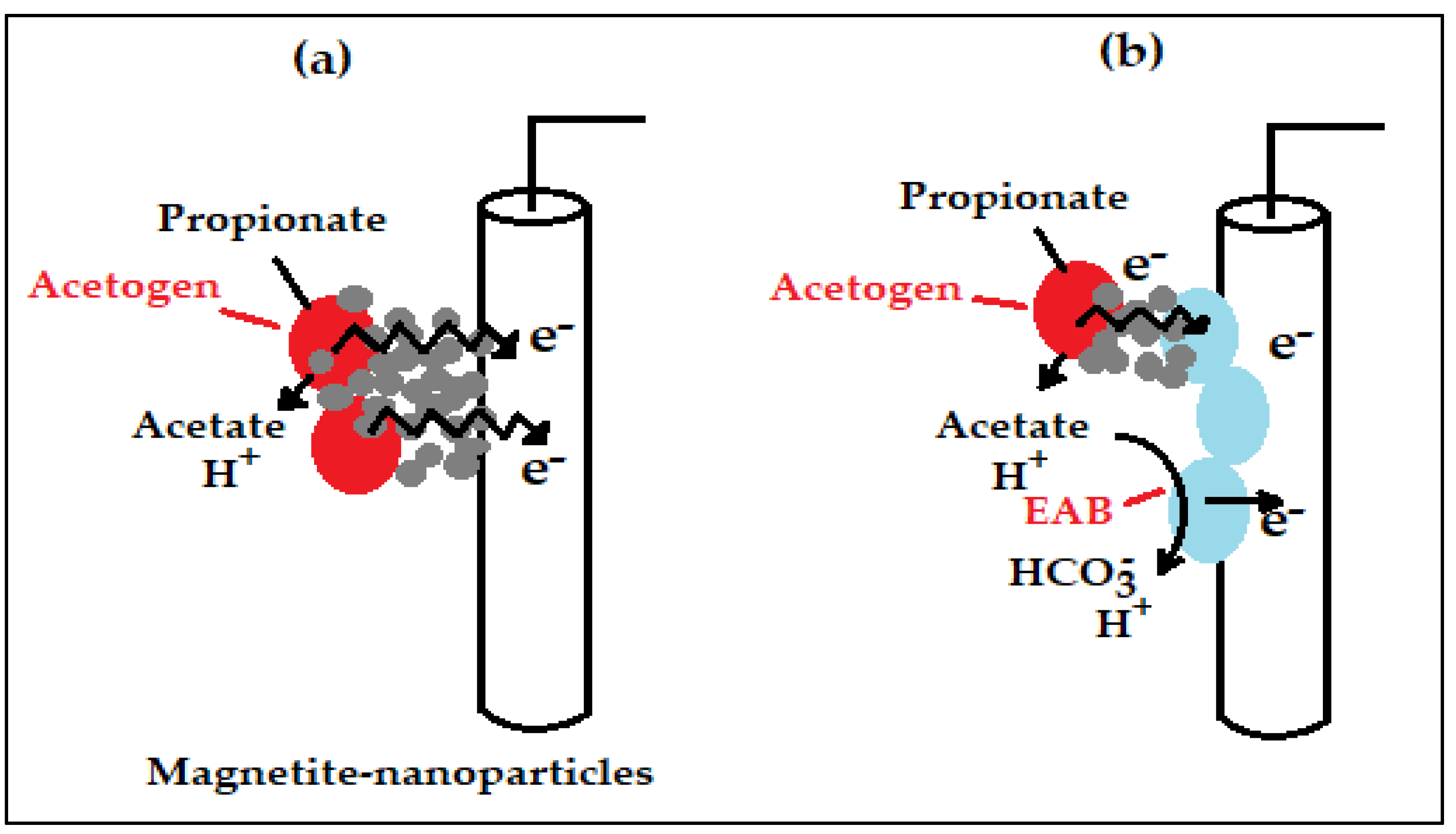 Ijms 24 04753 g011 Ijms 24 04753 g011