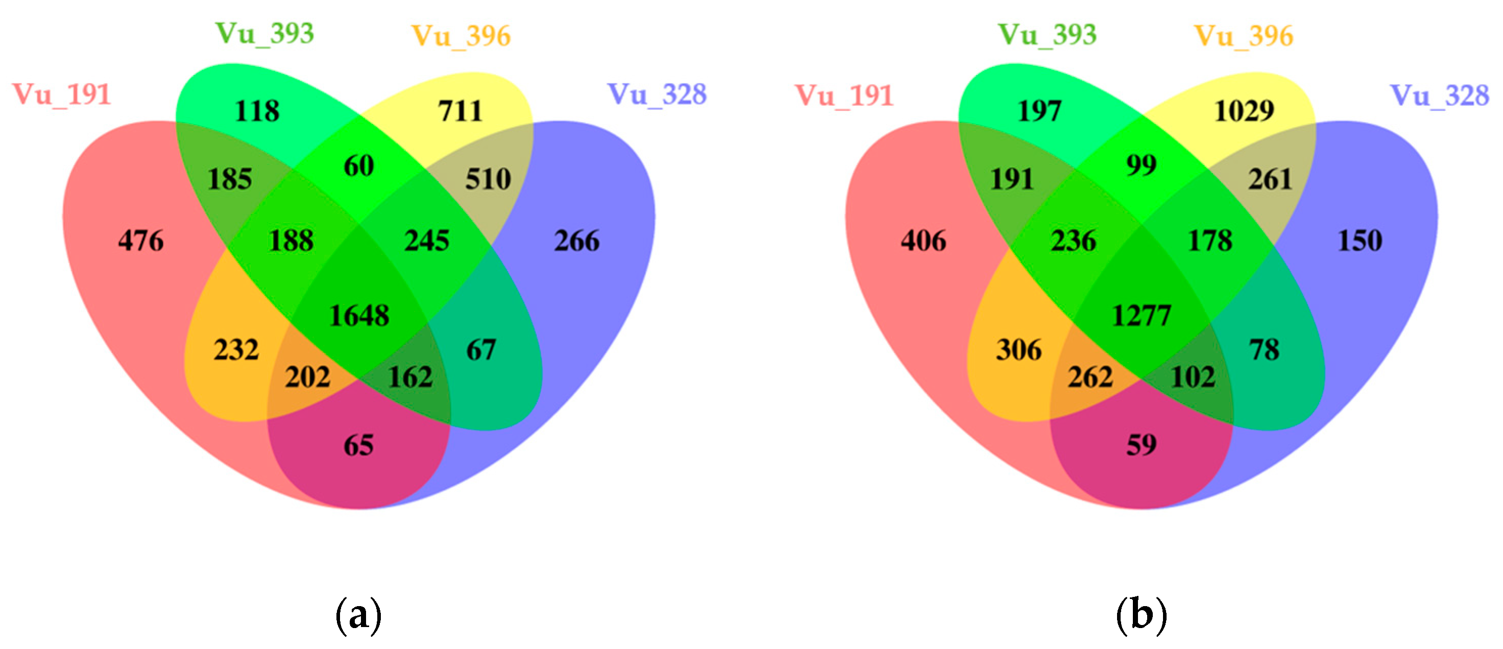 Ijms 24 04762 g004 Ijms 24 04762 g004