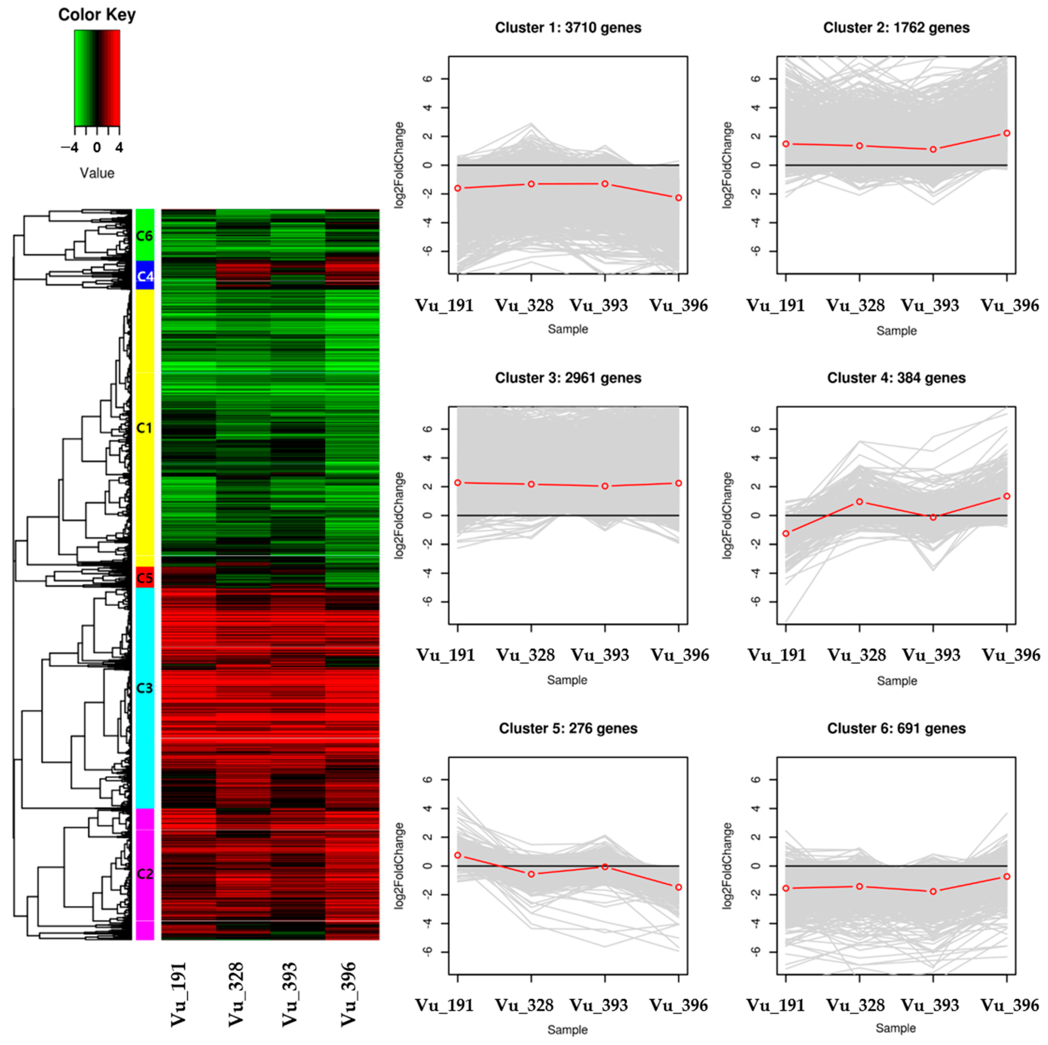 Ijms 24 04762 g005 Ijms 24 04762 g005