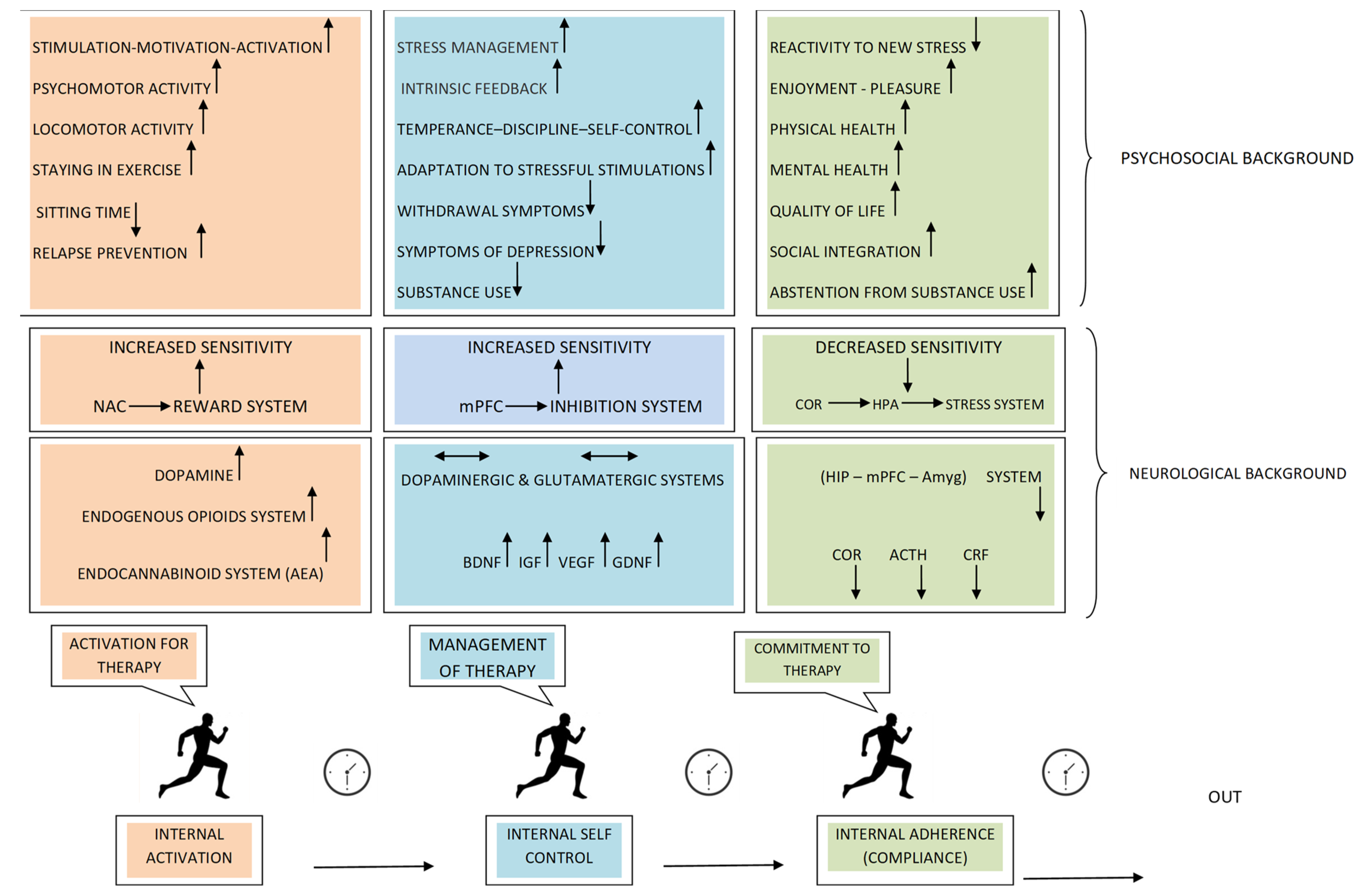 高感度ショップで2023年売れたブランド of Role The Physical Therapy Substitution Opioid in Exercise 靴