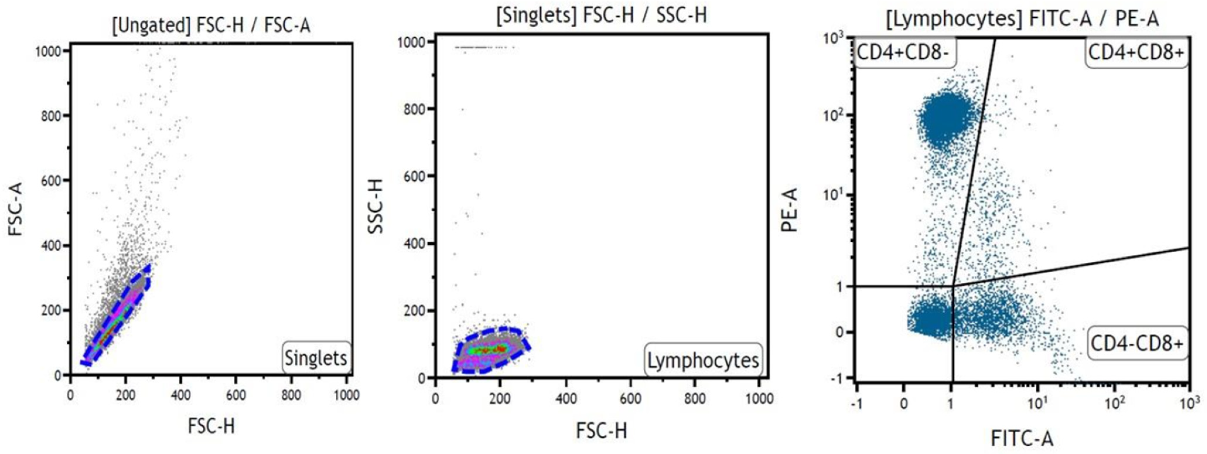 Ijms 24 04771 g005 Ijms 24 04771 g005