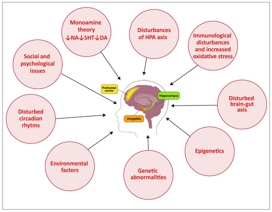 素晴らしい外見 Depression and Its Phytopharmacotherapy—A Narrative Review キャラクターグッズ