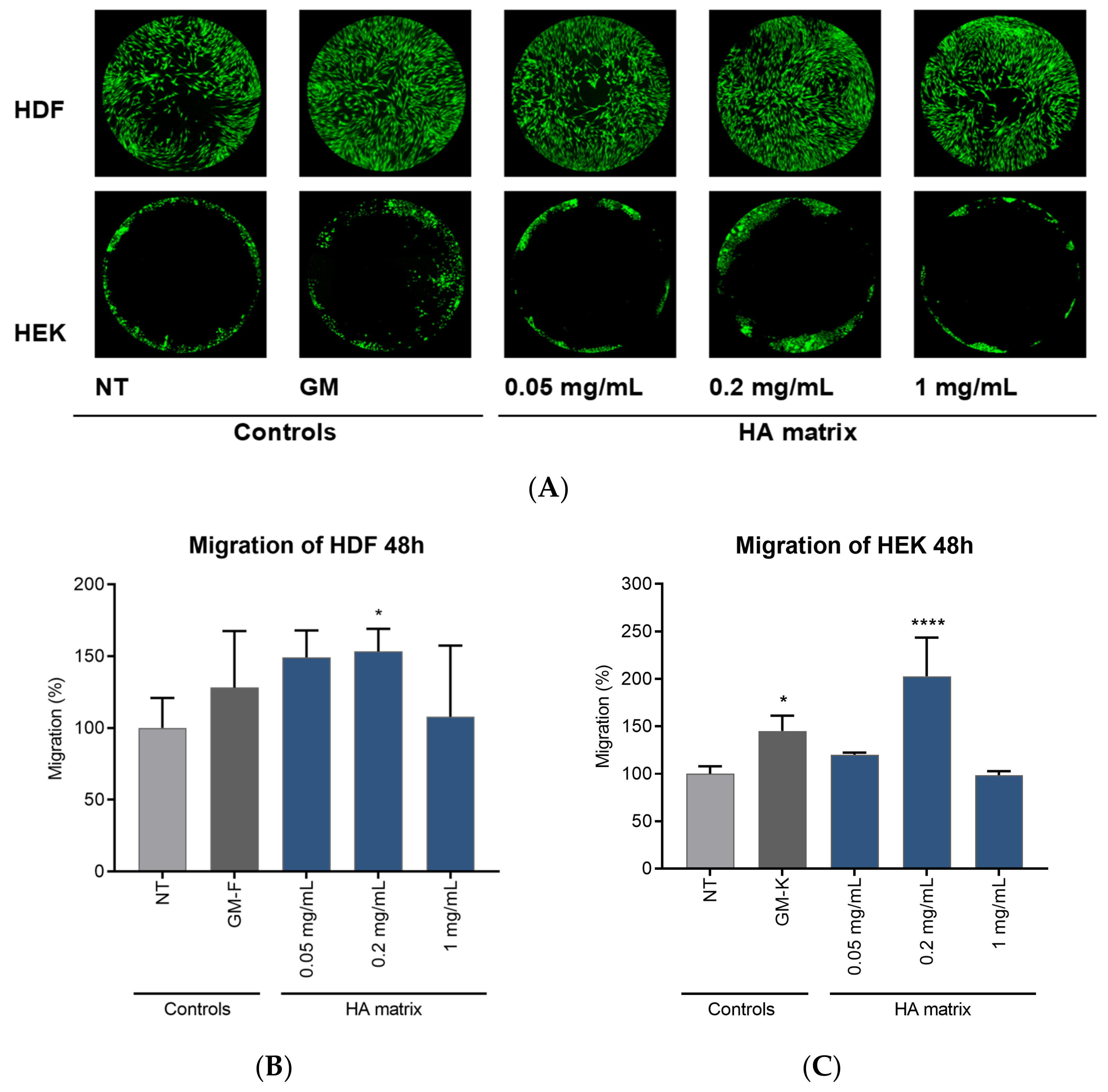 Ijms 24 04774 g007 Ijms 24 04774 g007