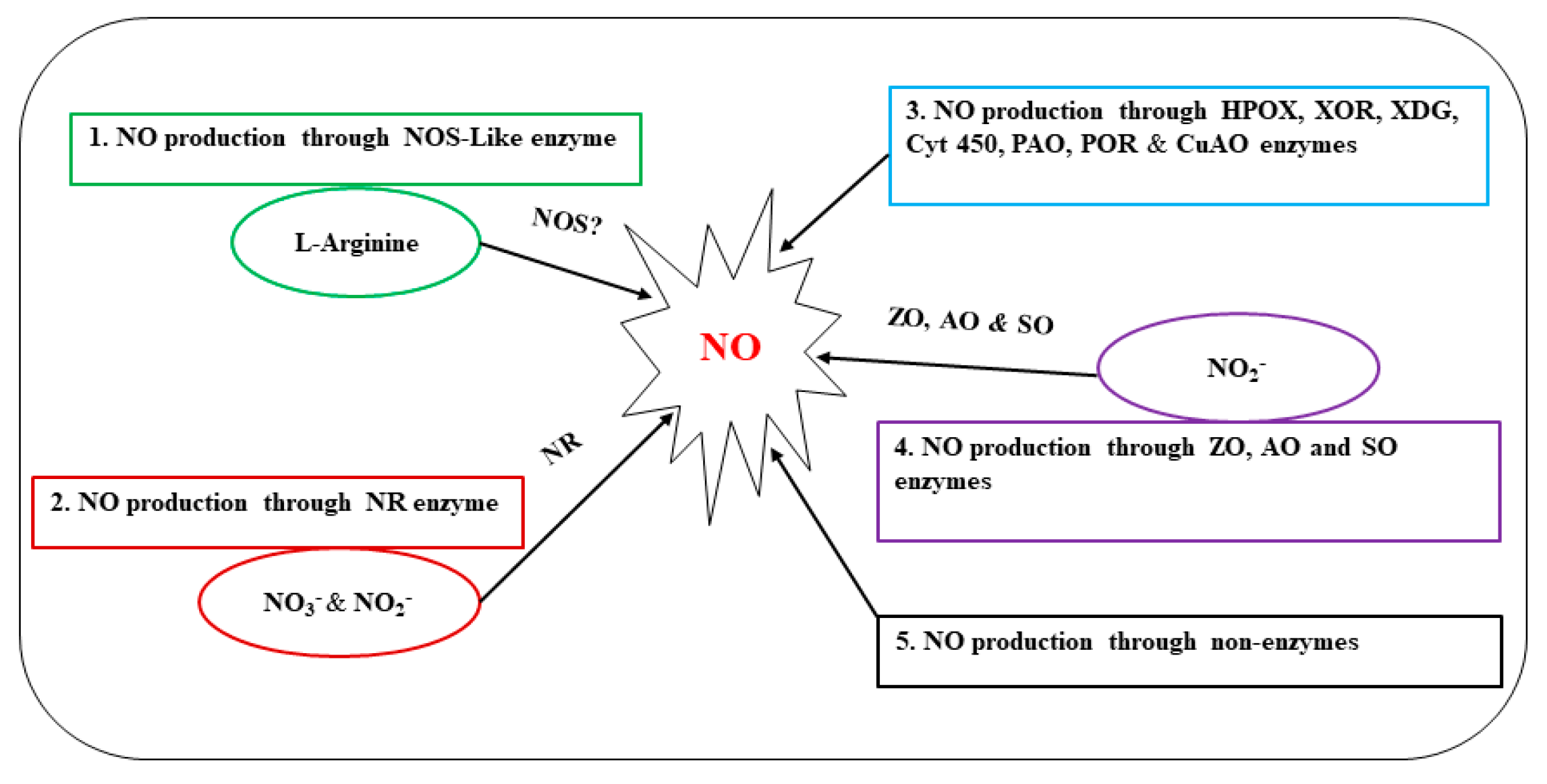 Ijms 24 04782 g001 Ijms 24 04782 g001