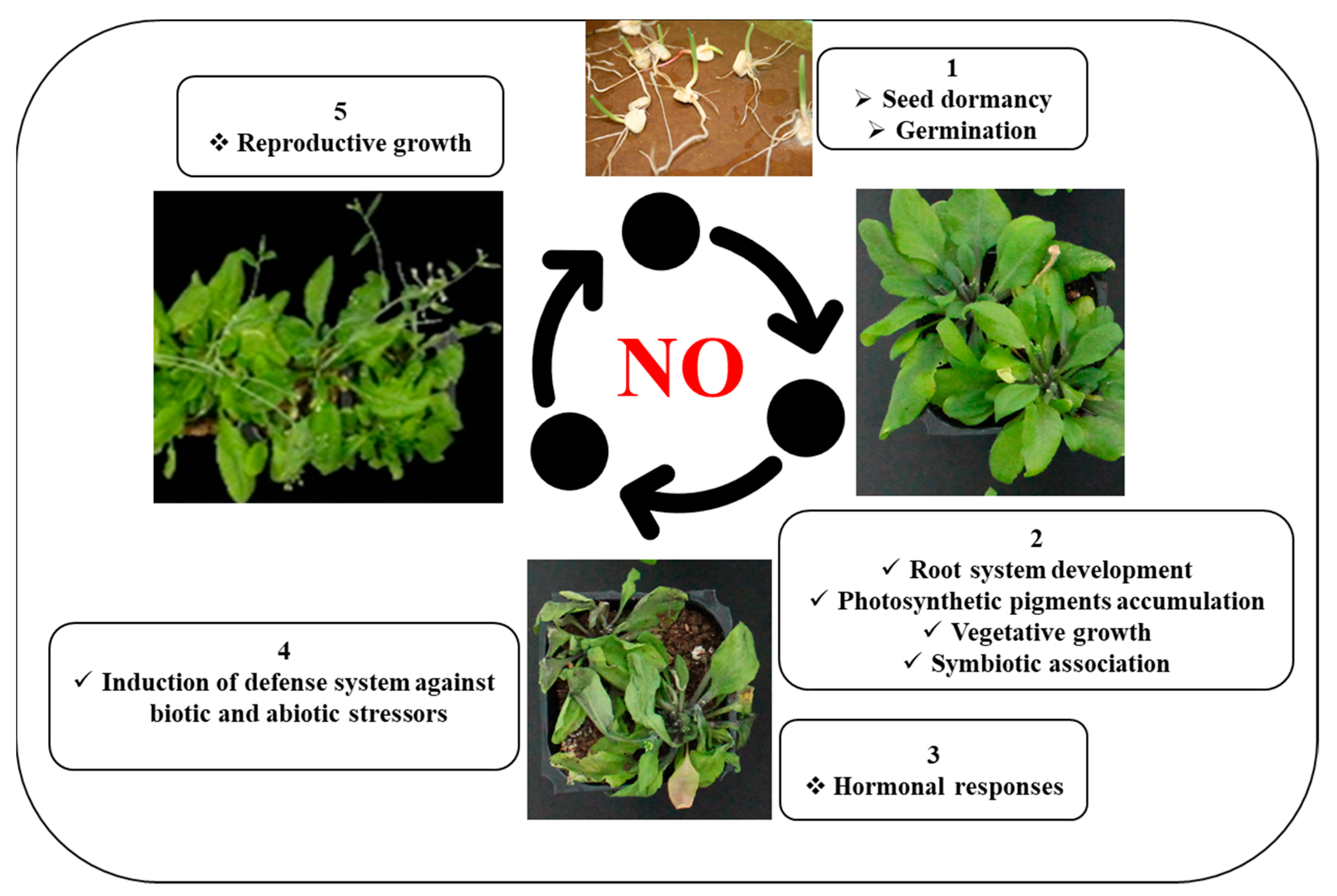 Ijms 24 04782 g002 Ijms 24 04782 g002