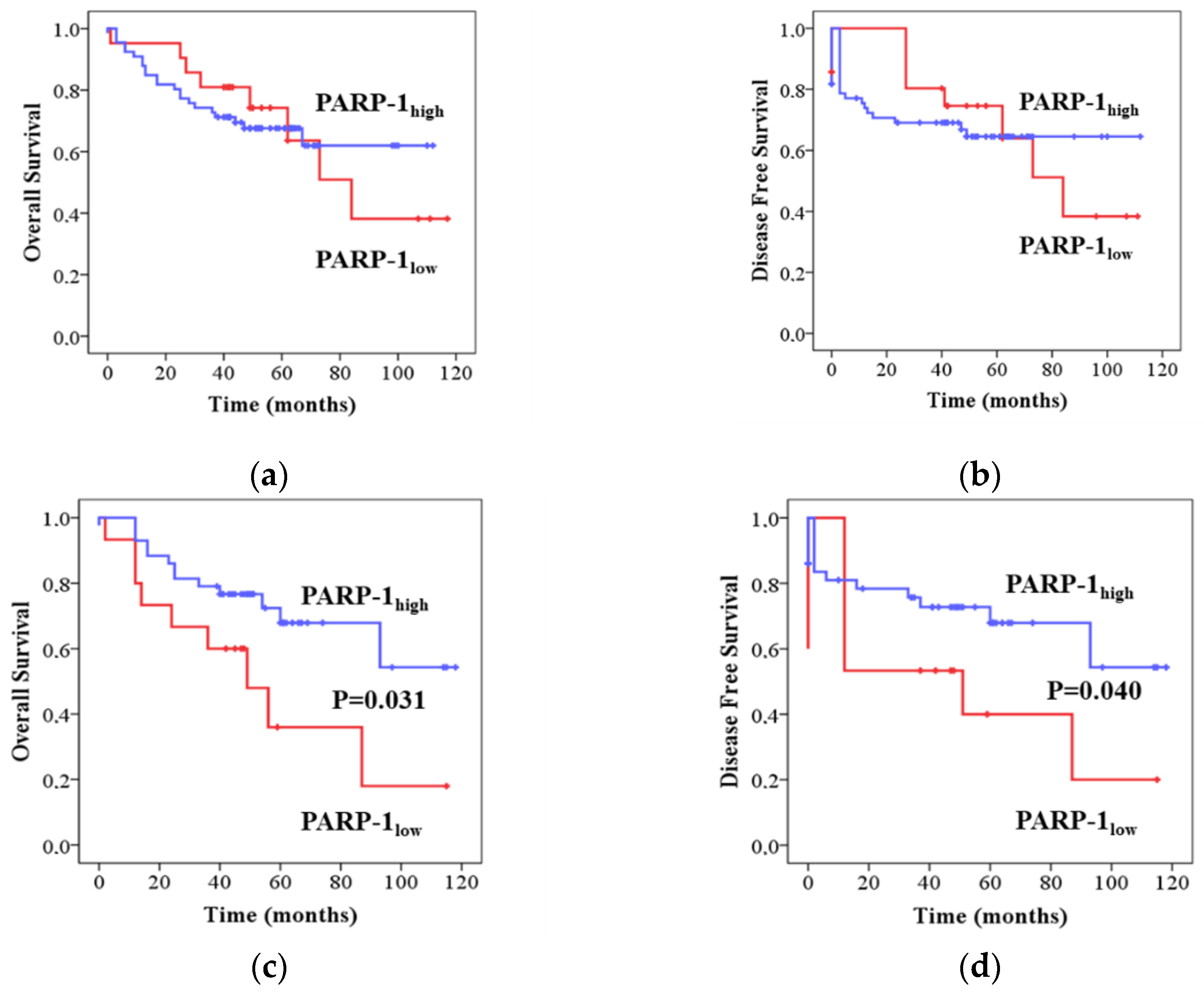 Ijms 24 04787 g002 Ijms 24 04787 g002