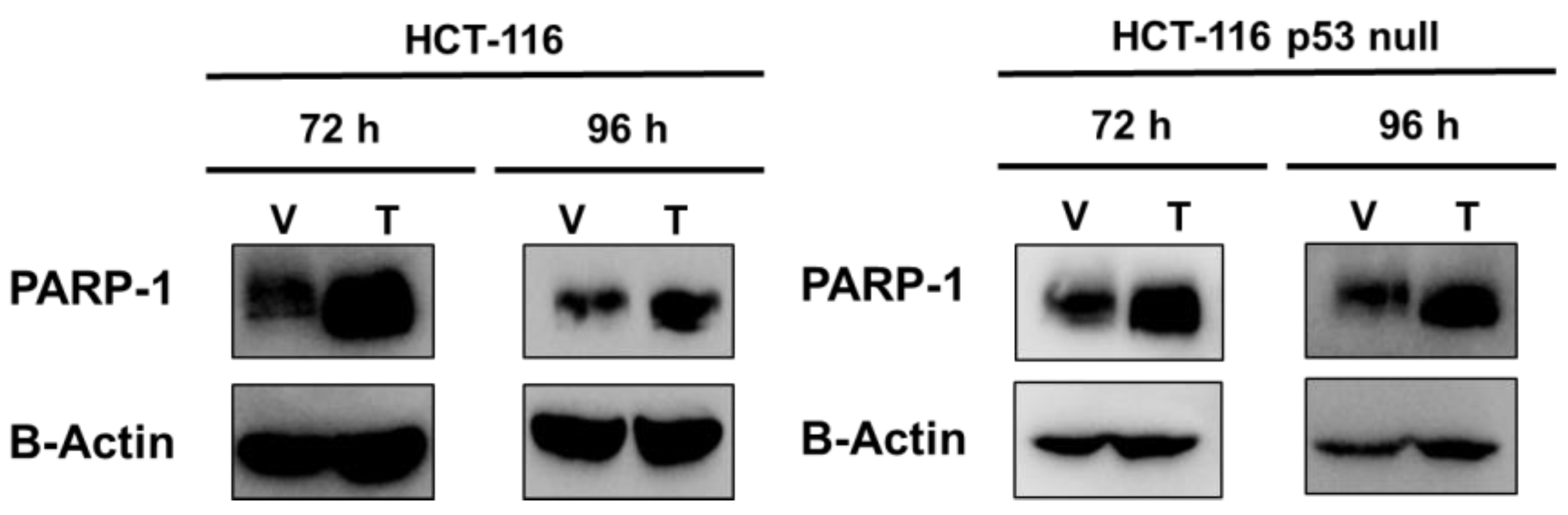 Ijms 24 04787 g003 Ijms 24 04787 g003