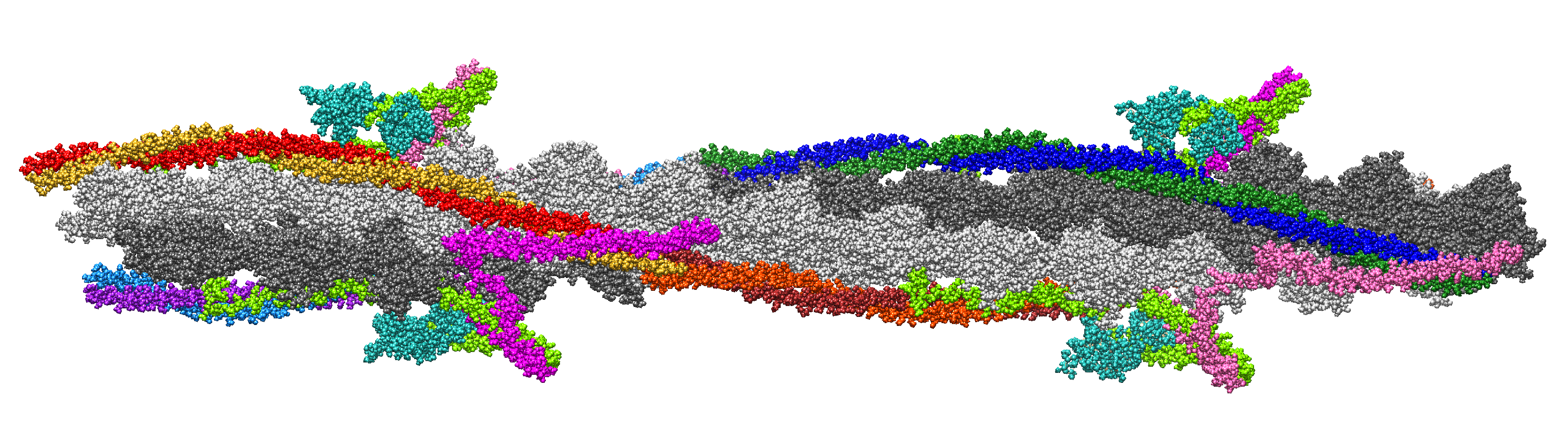 Ijms 24 04792 g001 Ijms 24 04792 g001