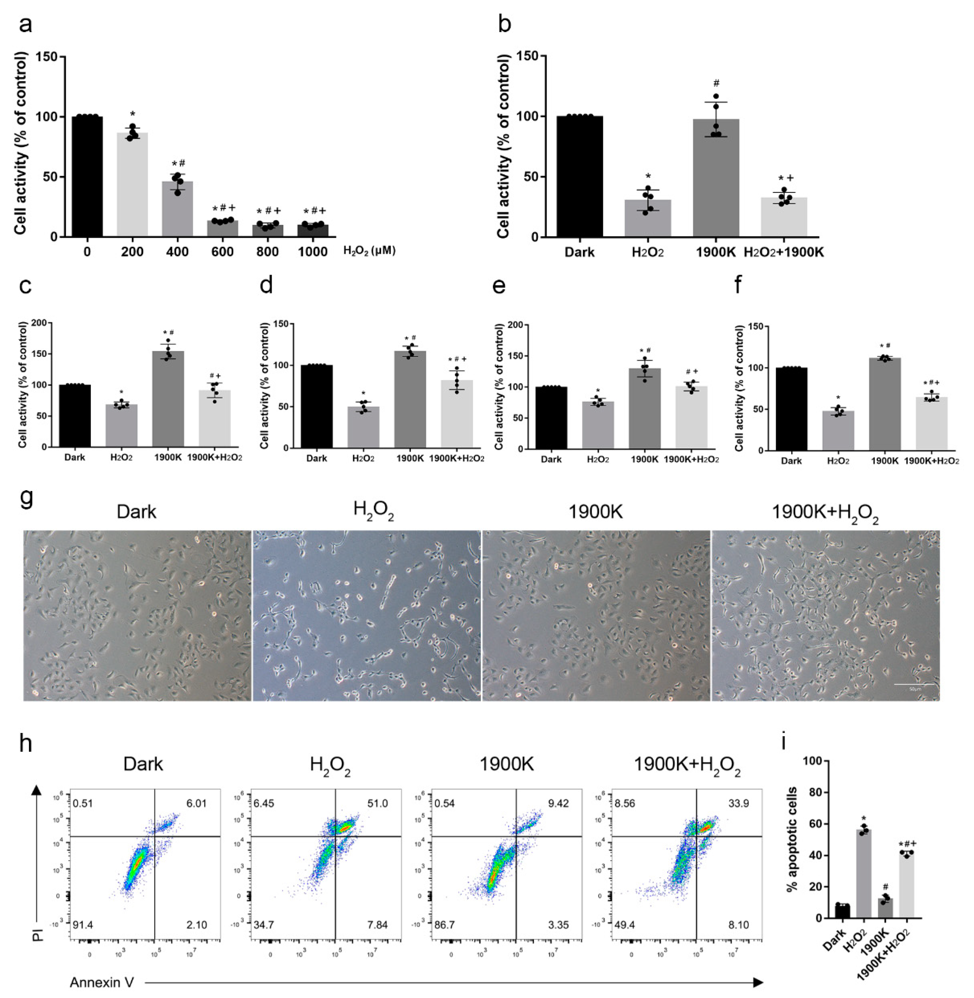 Ijms 24 04794 g002 Ijms 24 04794 g002