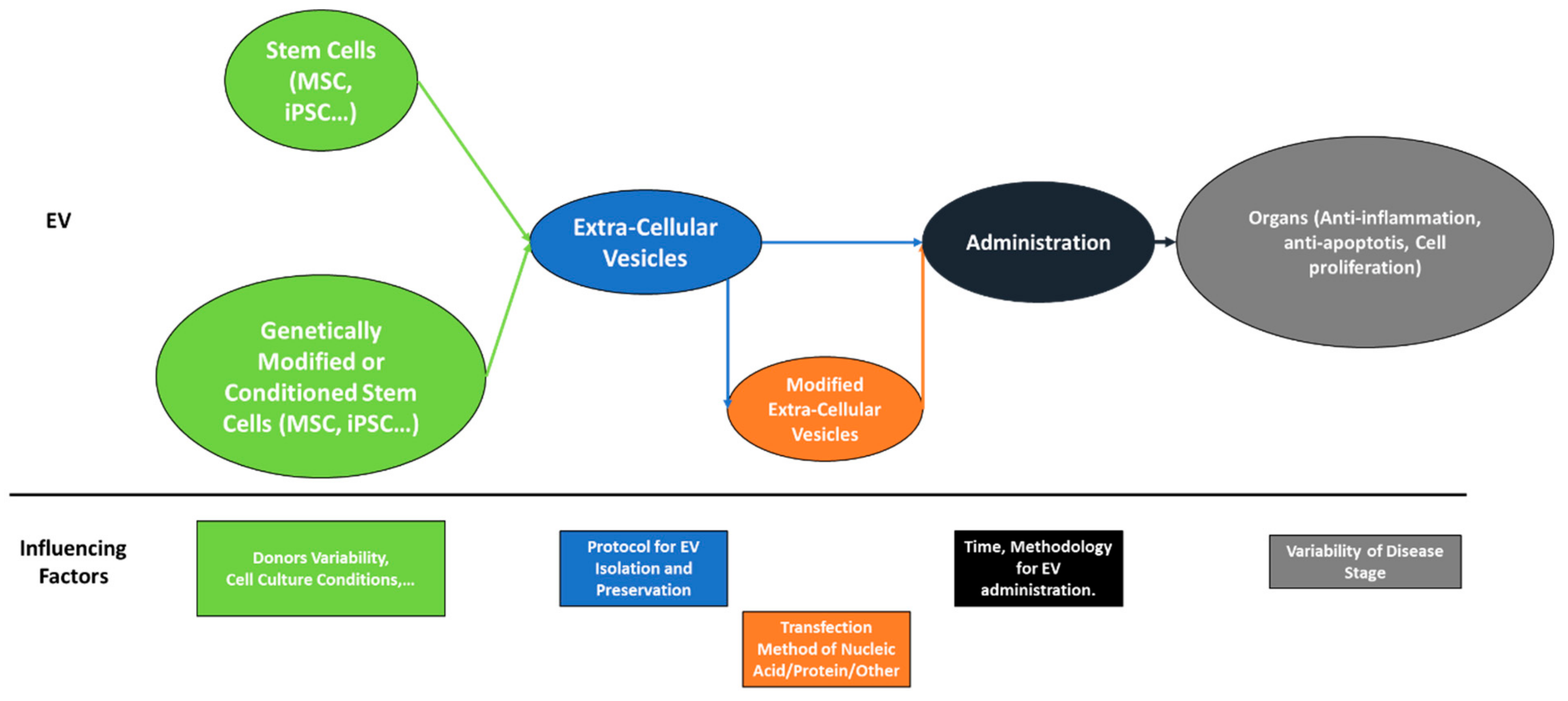 Ijms 24 04798 g001 Ijms 24 04798 g001