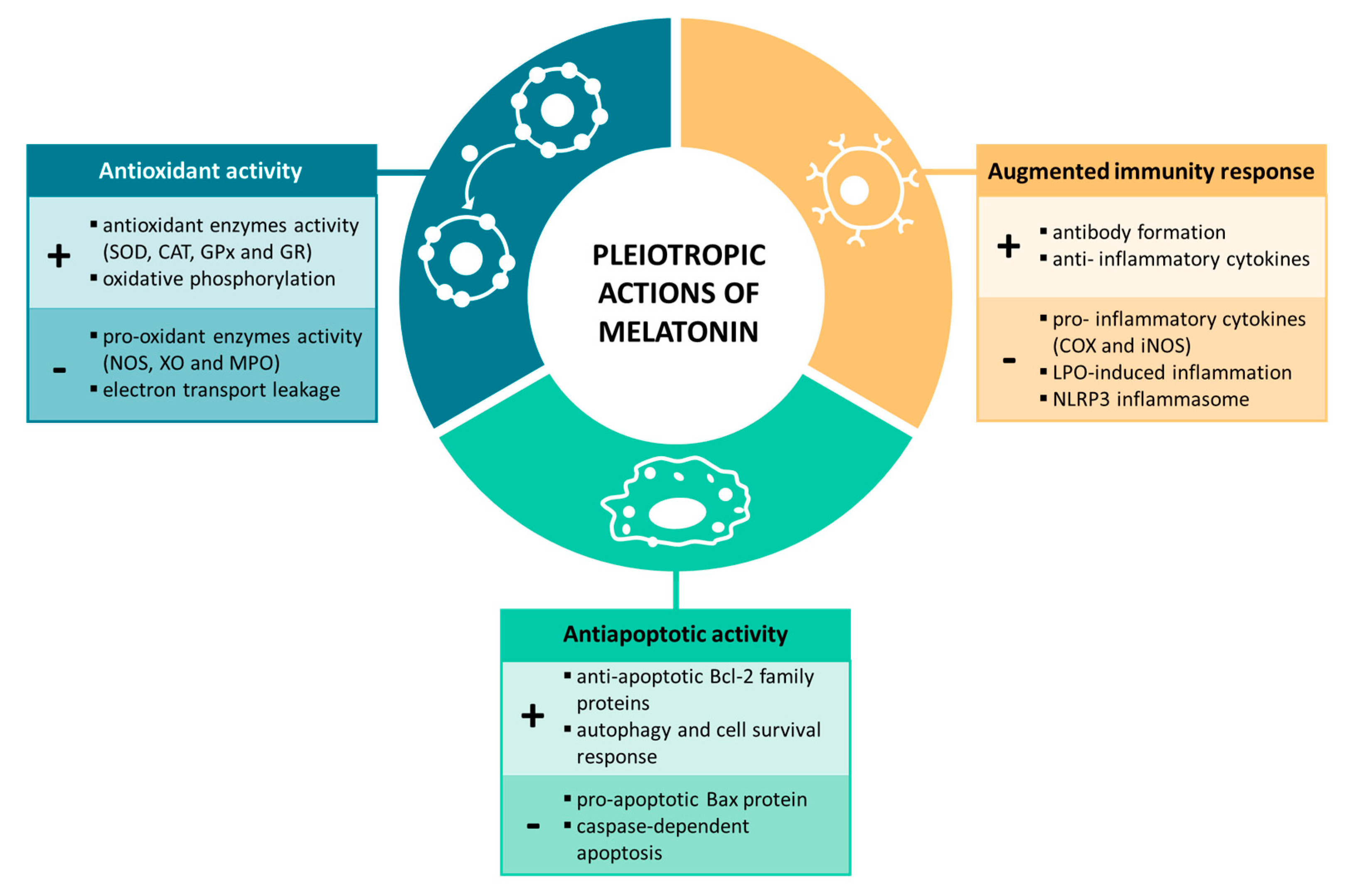 IJMS | Free Full-Text | Benefits of the Neurogenic Potential of Melatonin  for Treating Neurological and Neuropsychiatric Disorders