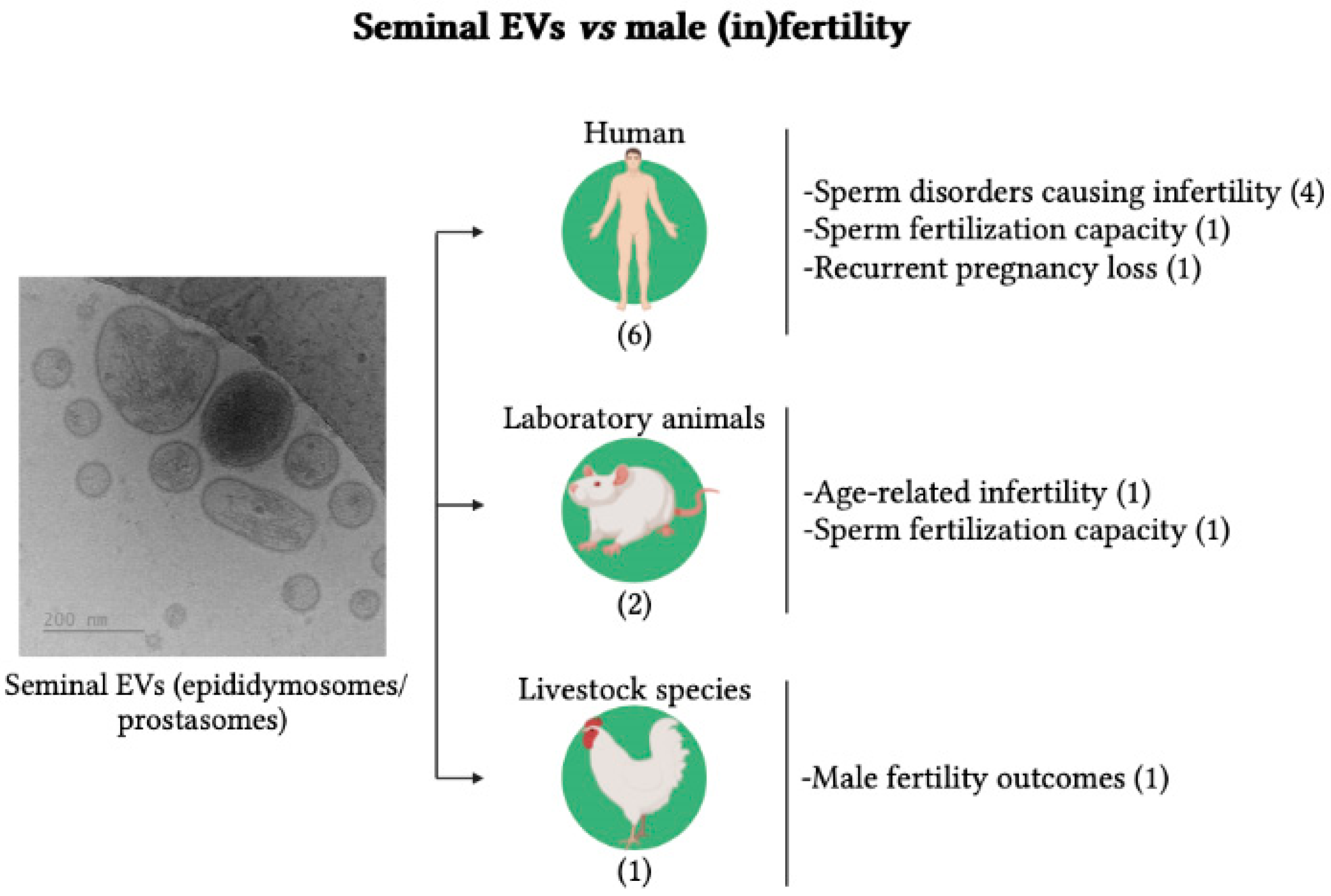 Ijms 24 04818 g003 Ijms 24 04818 g003