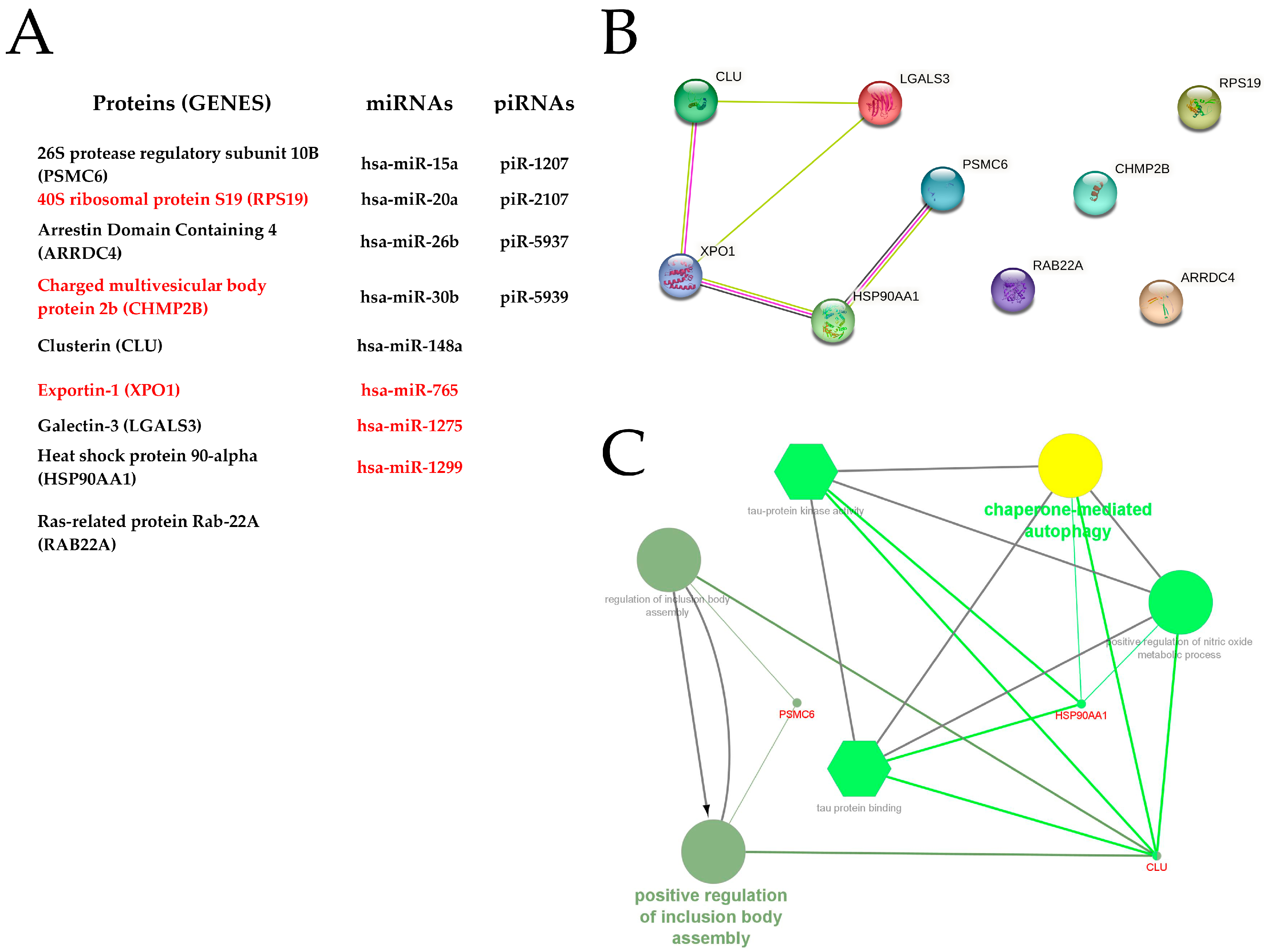 Ijms 24 04818 g004 Ijms 24 04818 g004