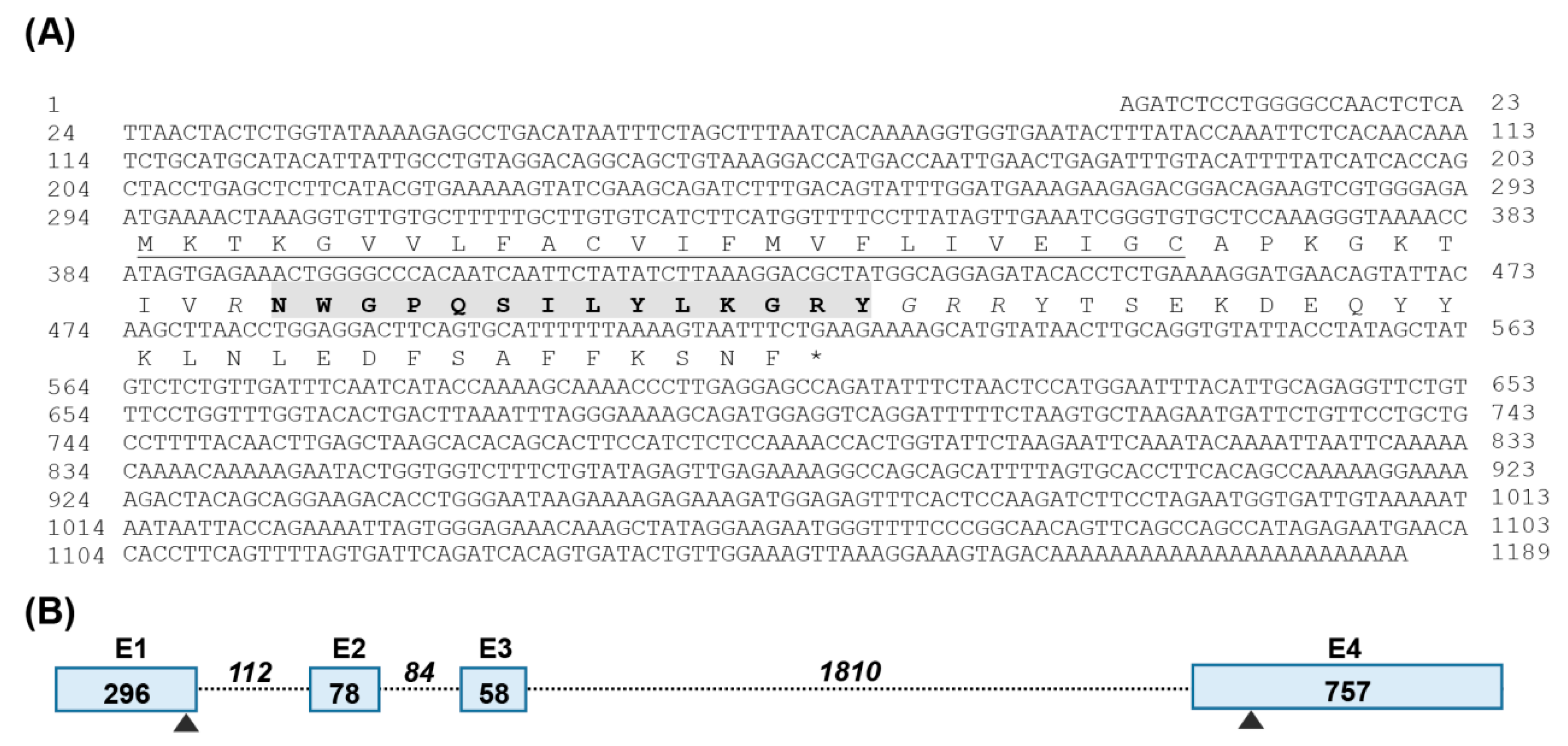 Ijms 24 04821 g001 Ijms 24 04821 g001