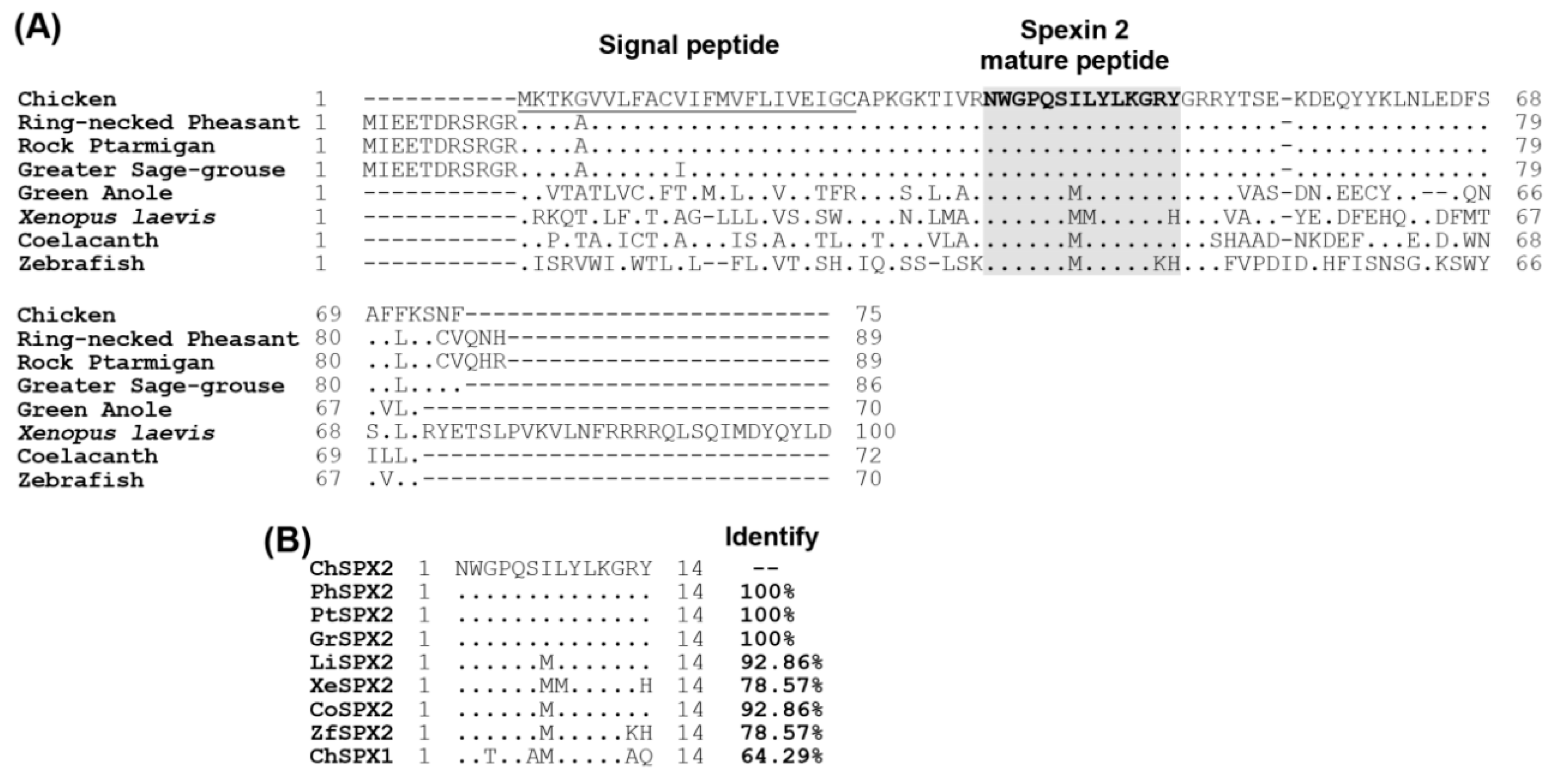 Ijms 24 04821 g002 Ijms 24 04821 g002