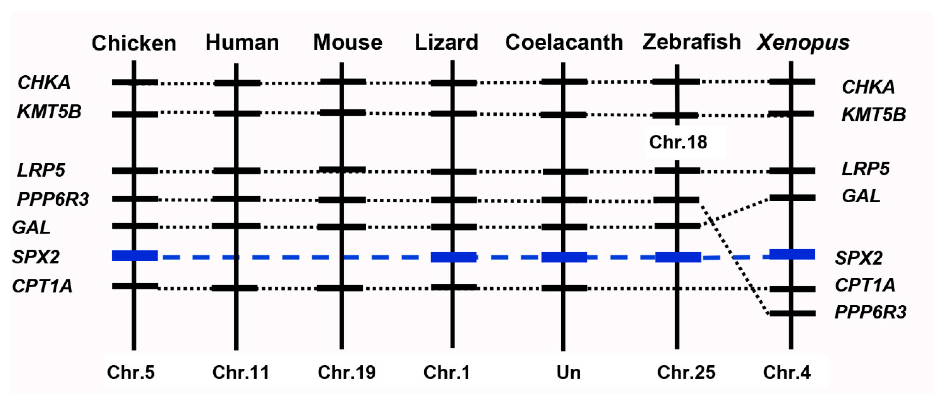 Ijms 24 04821 g003 Ijms 24 04821 g003