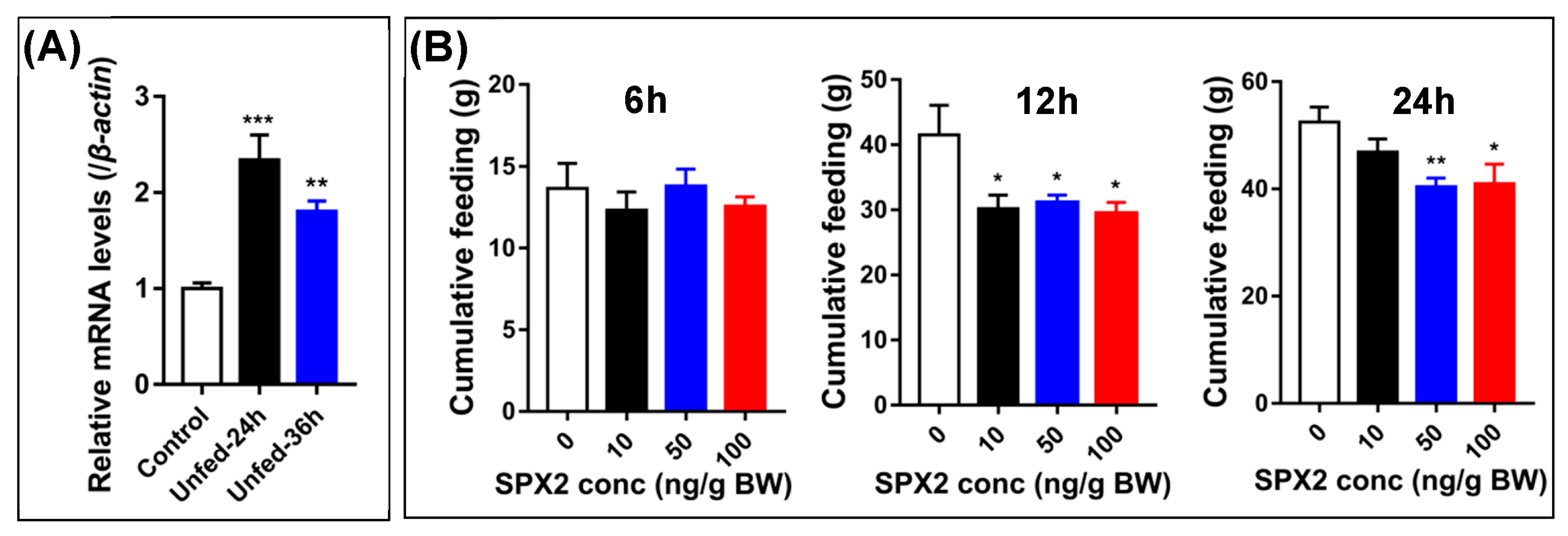 Ijms 24 04821 g005 Ijms 24 04821 g005