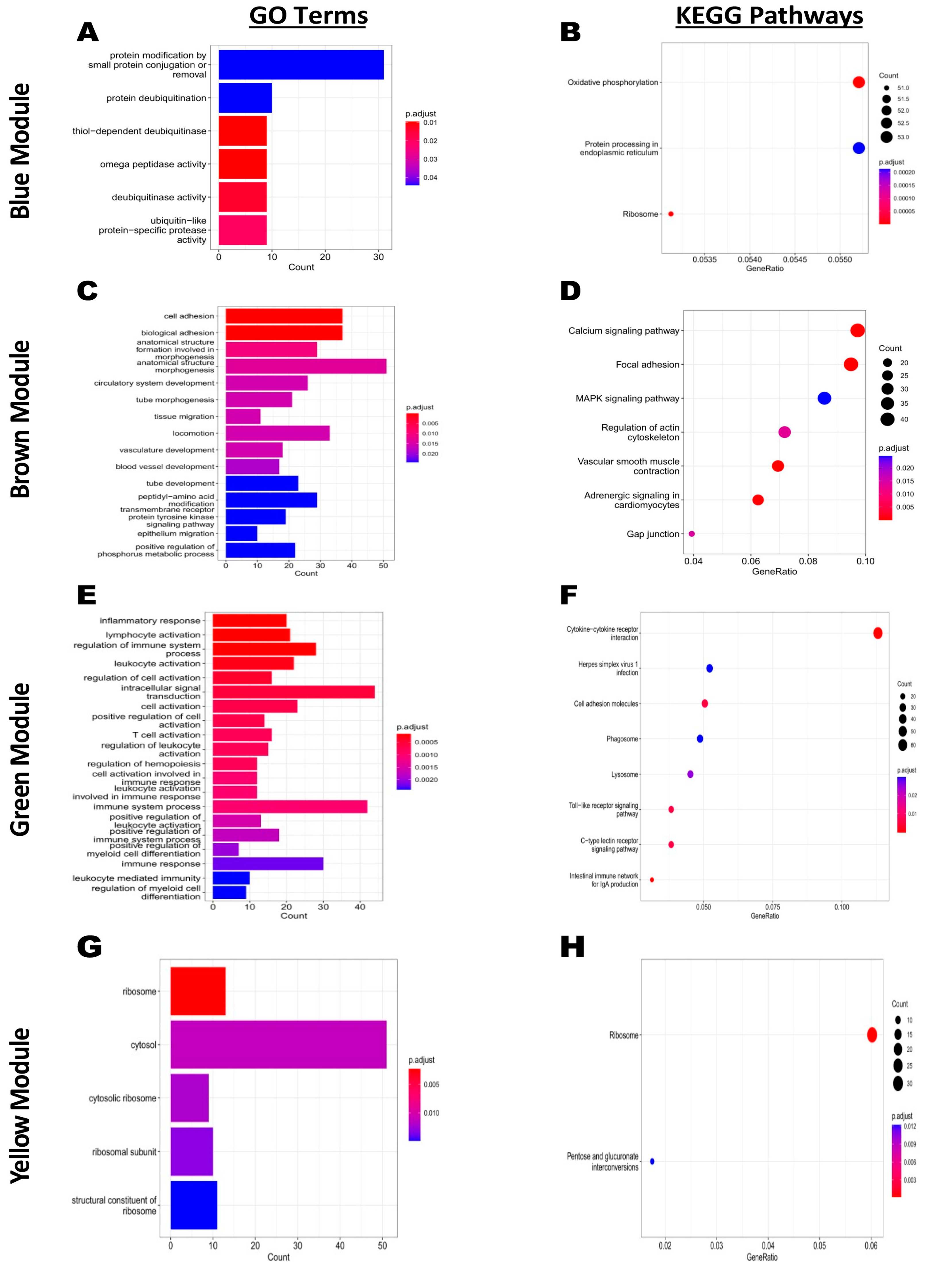 Ijms 24 04824 g007 Ijms 24 04824 g007