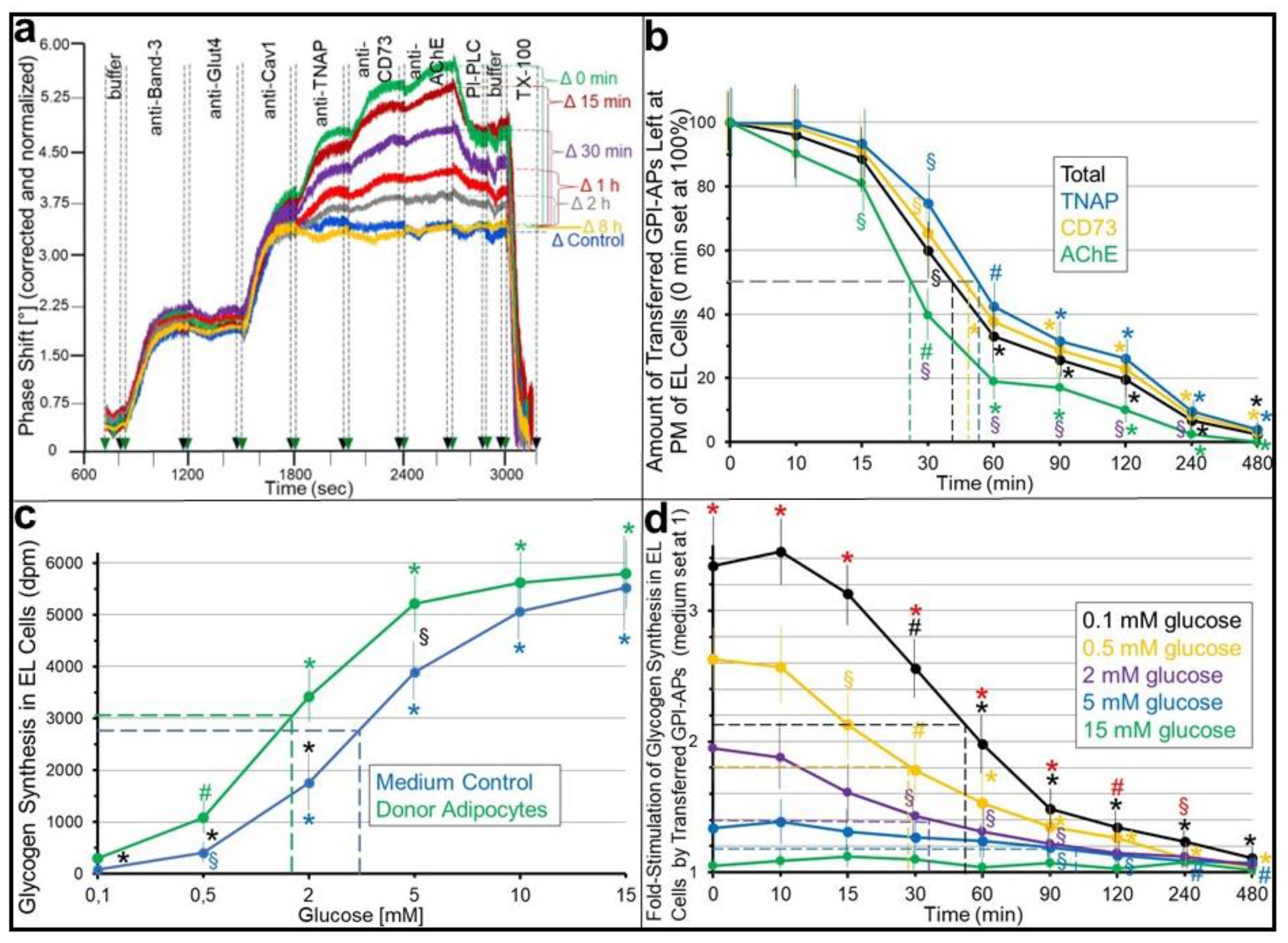 Ijms 24 04825 g001 Ijms 24 04825 g001