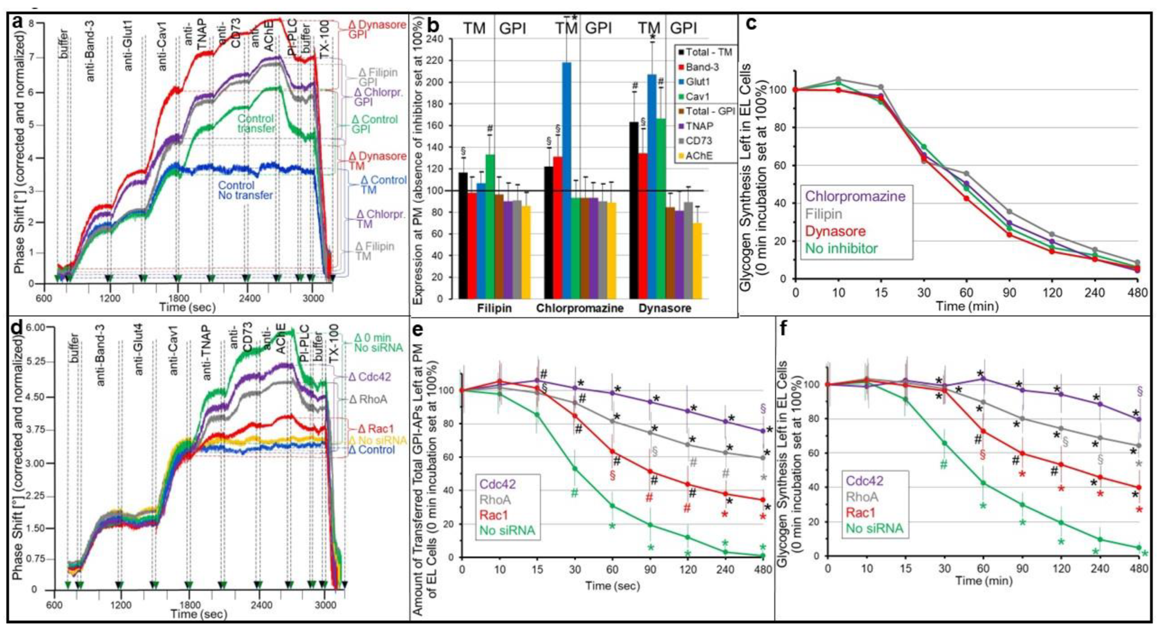 Ijms 24 04825 g002 Ijms 24 04825 g002