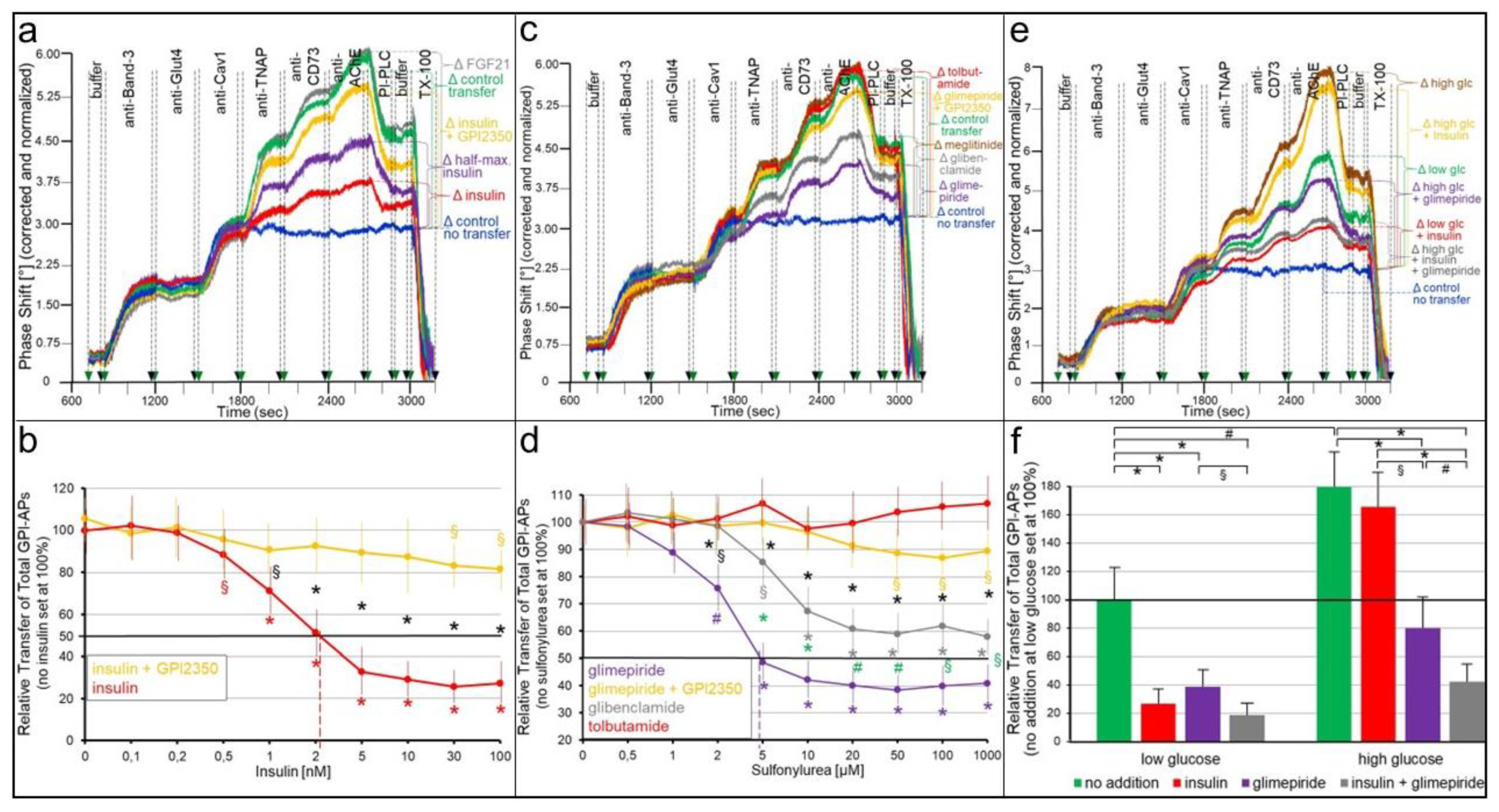 Ijms 24 04825 g003 Ijms 24 04825 g003