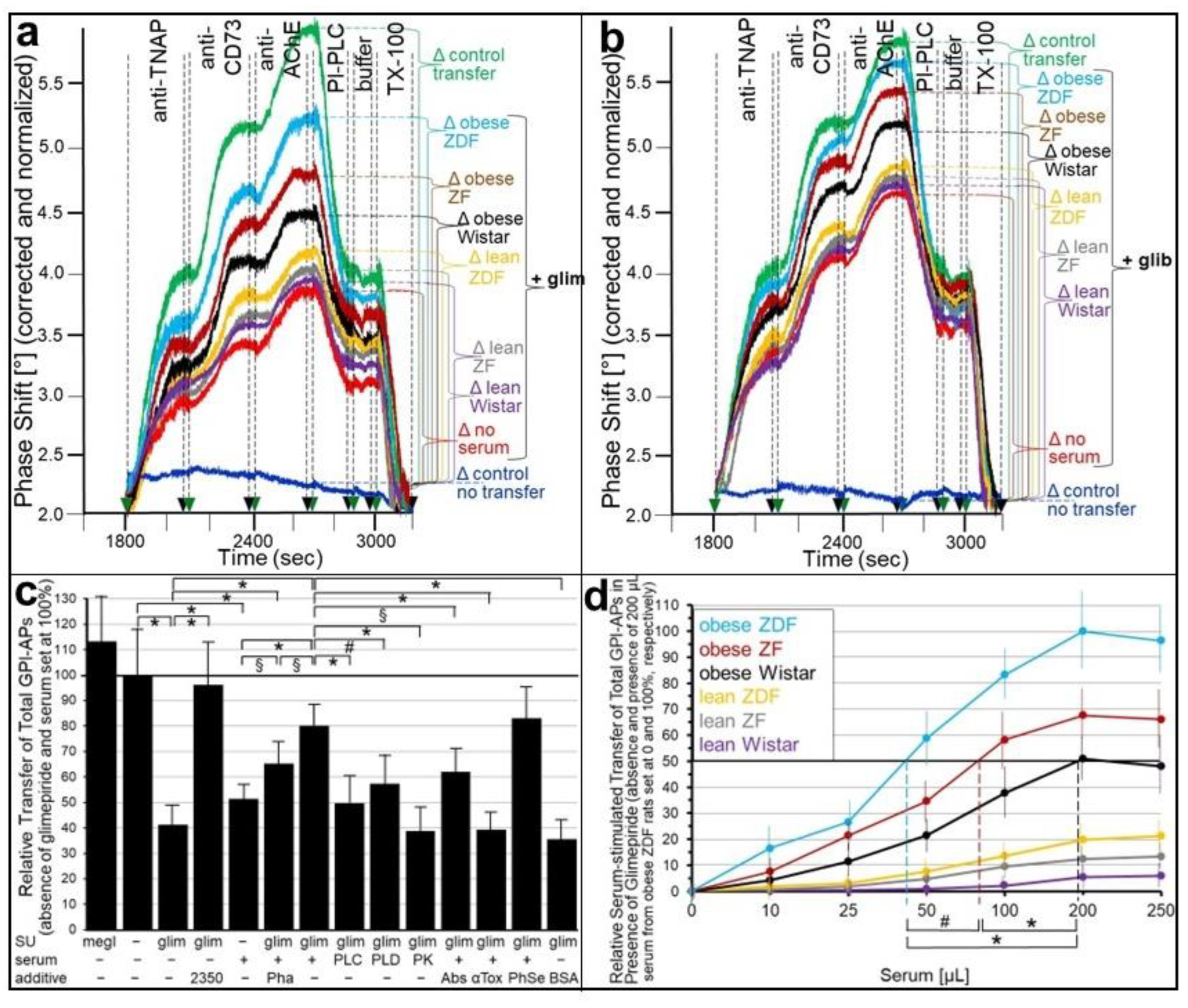 Ijms 24 04825 g006 Ijms 24 04825 g006