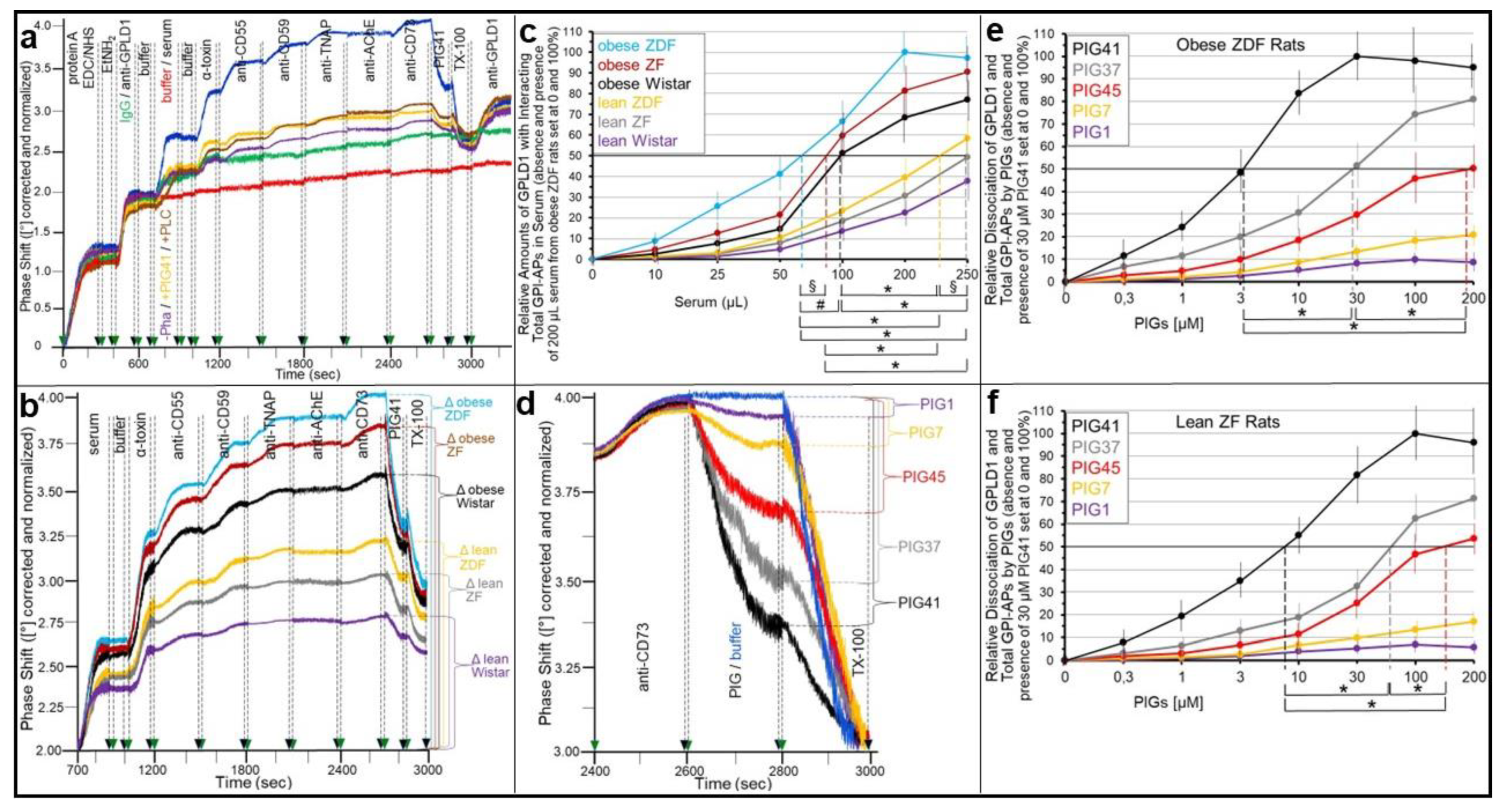 Ijms 24 04825 g008 Ijms 24 04825 g008