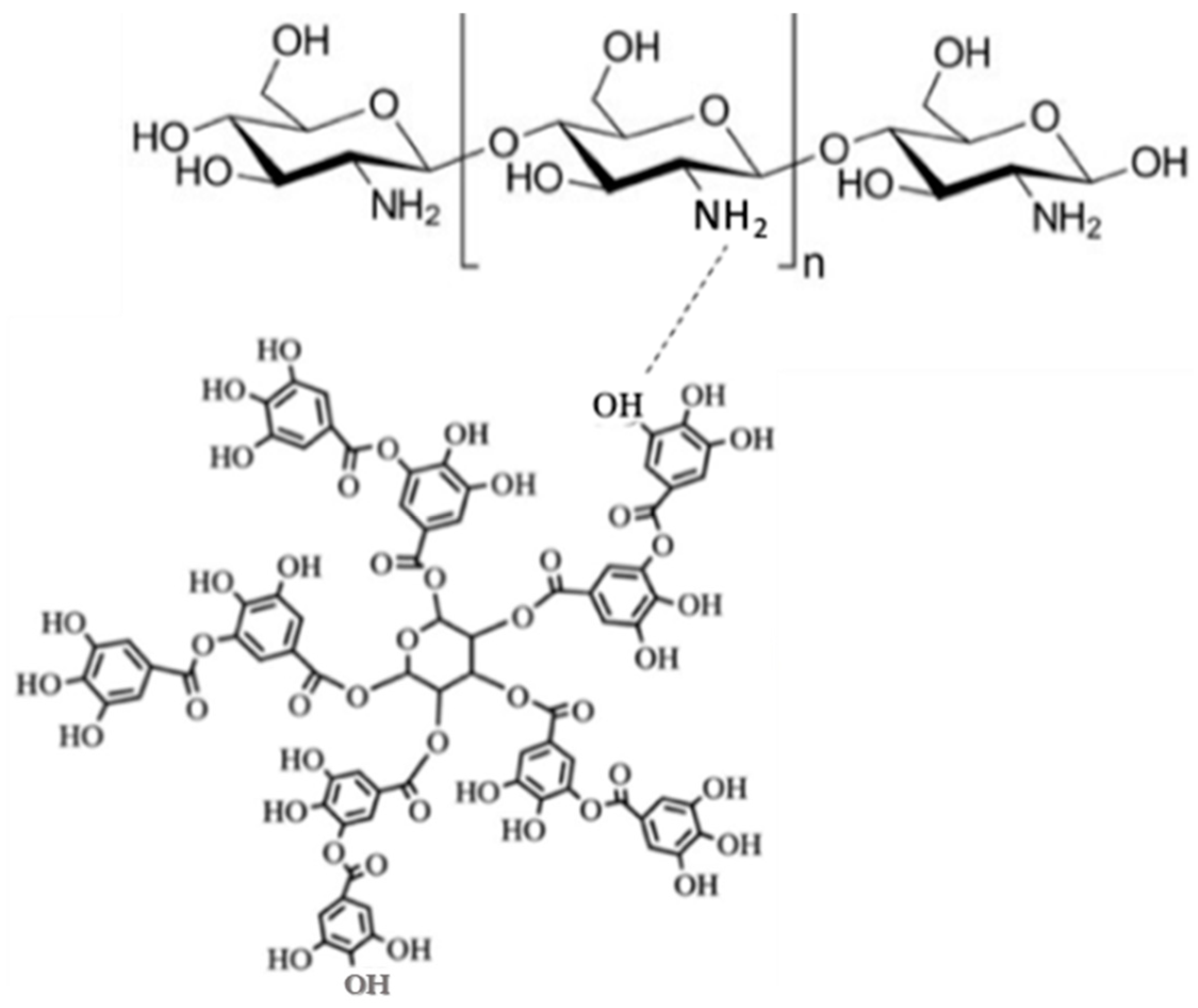 Ijms 24 04826 g004 Ijms 24 04826 g004