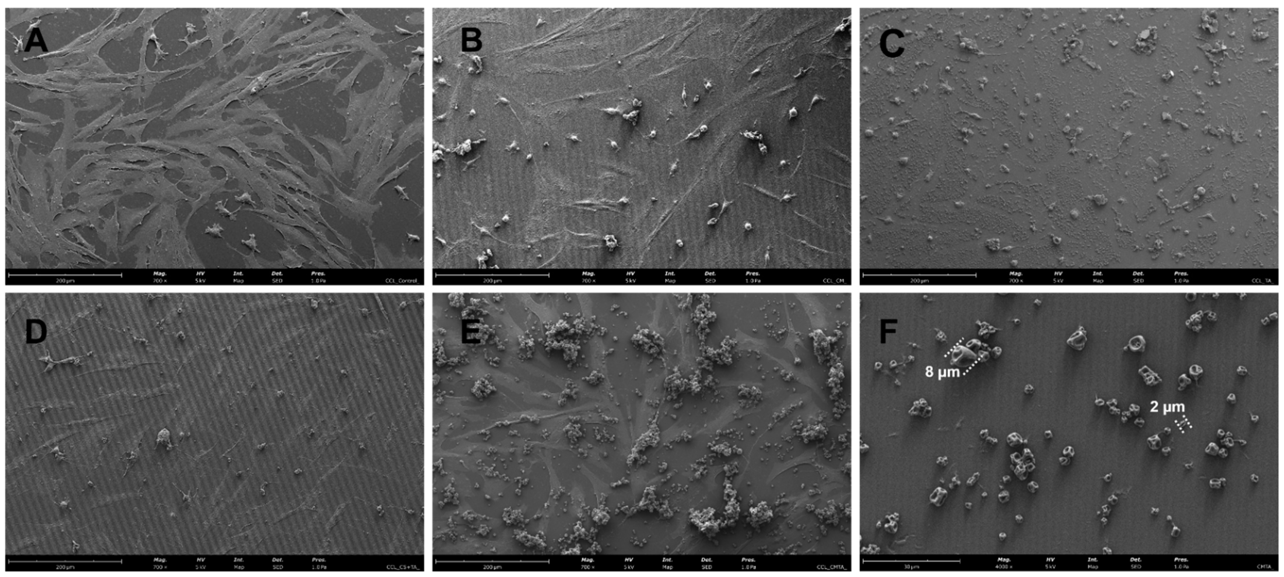 Ijms 24 04826 g006 Ijms 24 04826 g006