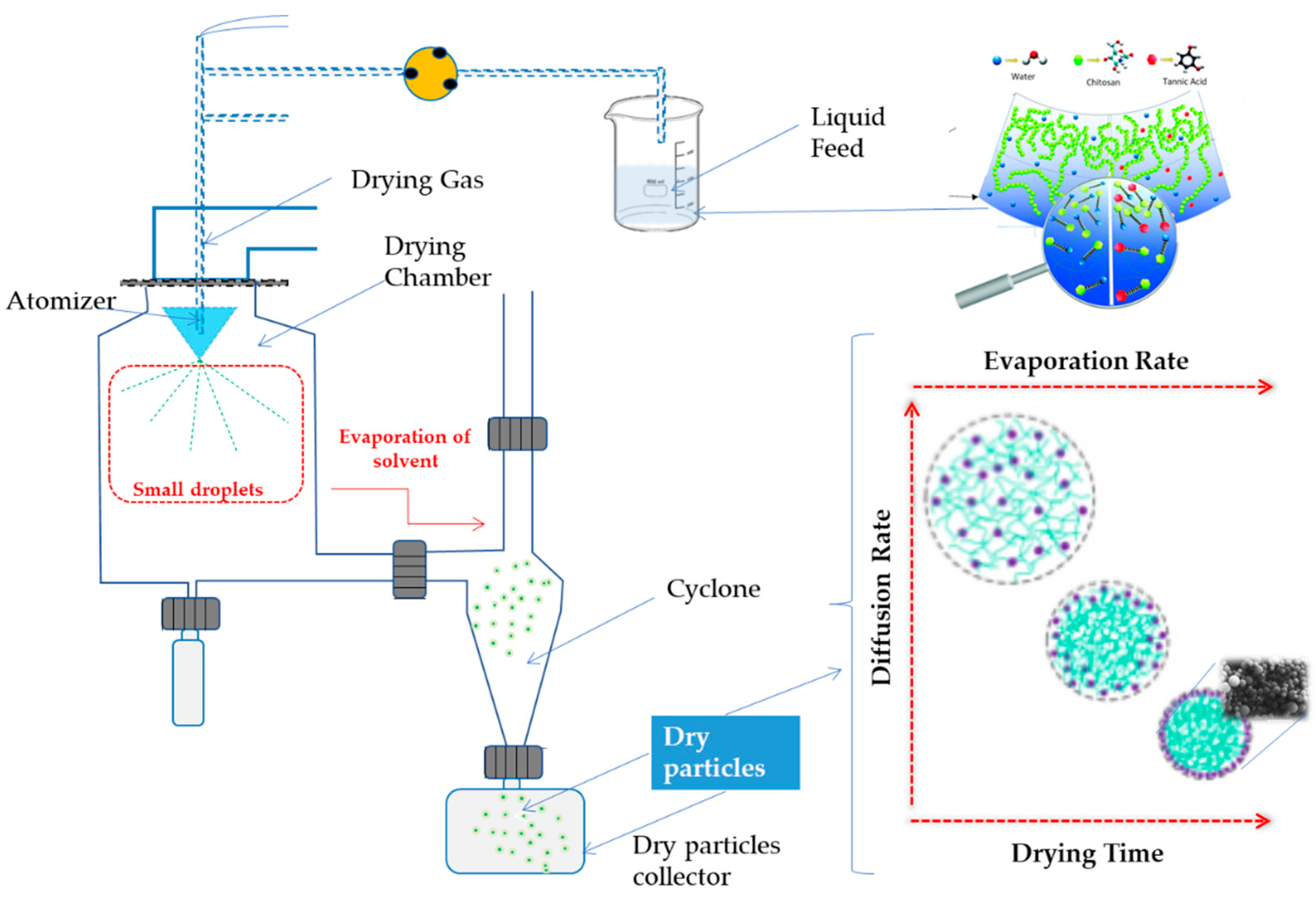 Ijms 24 04826 g007 Ijms 24 04826 g007