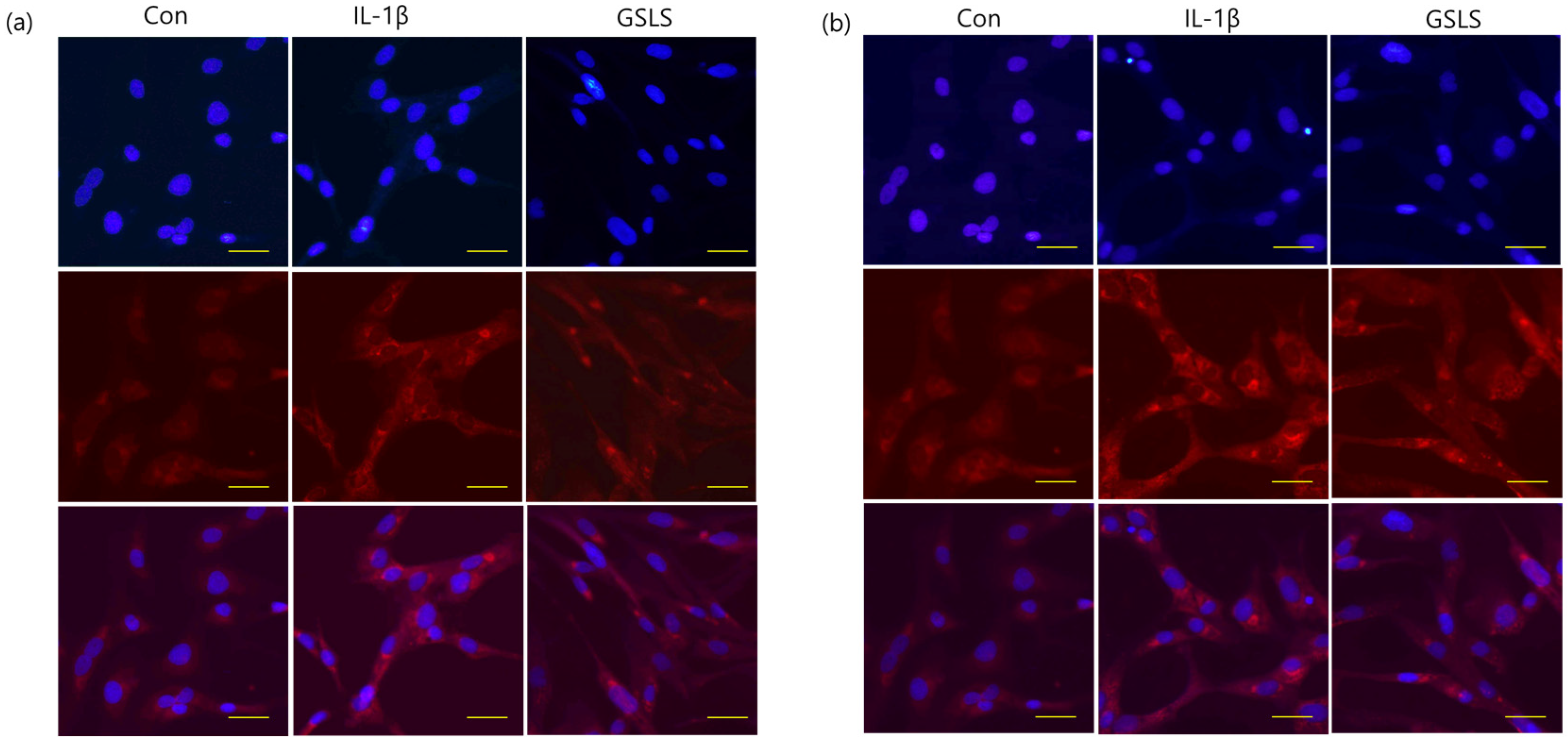 Ijms 24 04829 g005 Ijms 24 04829 g005