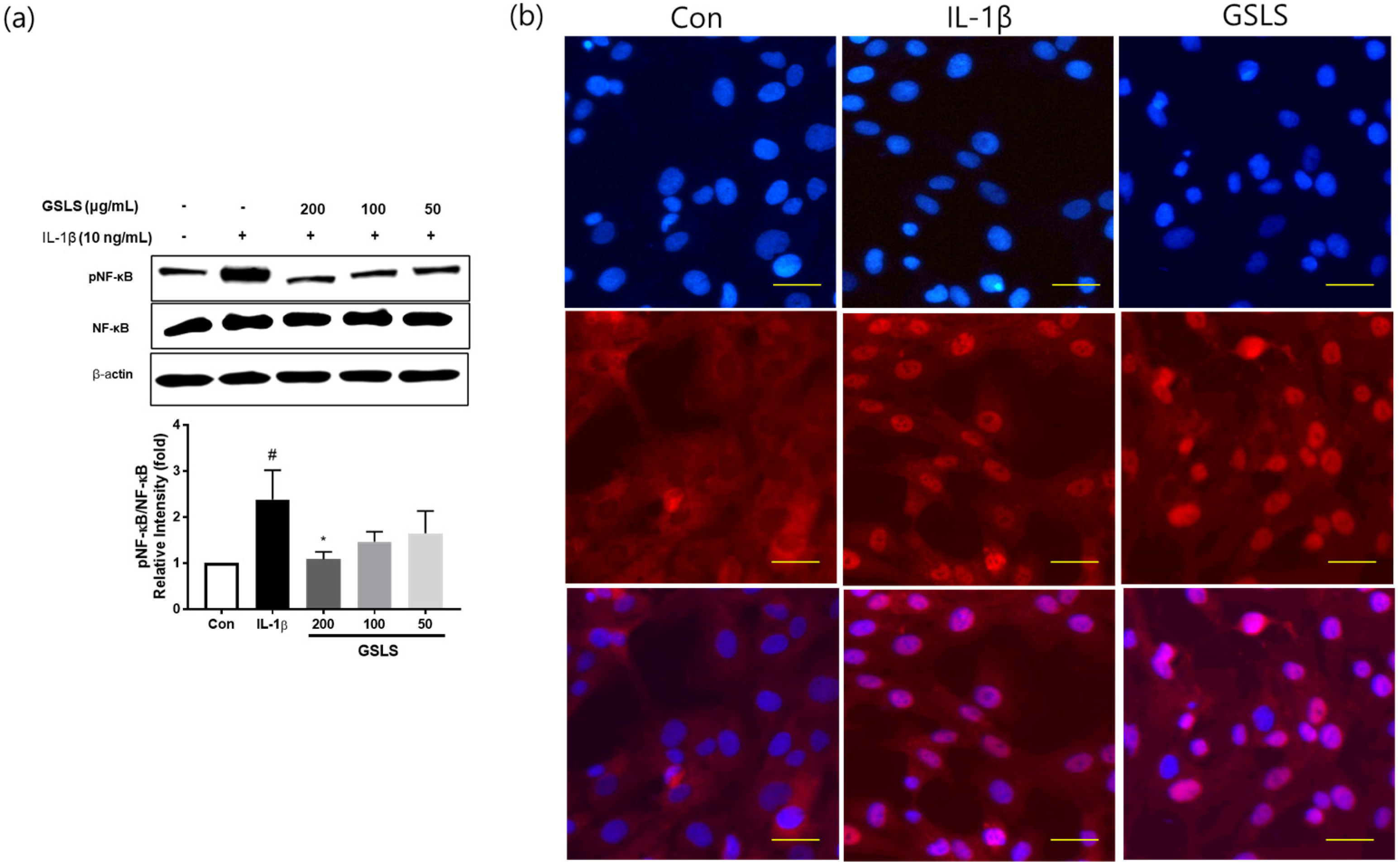 Ijms 24 04829 g006 Ijms 24 04829 g006