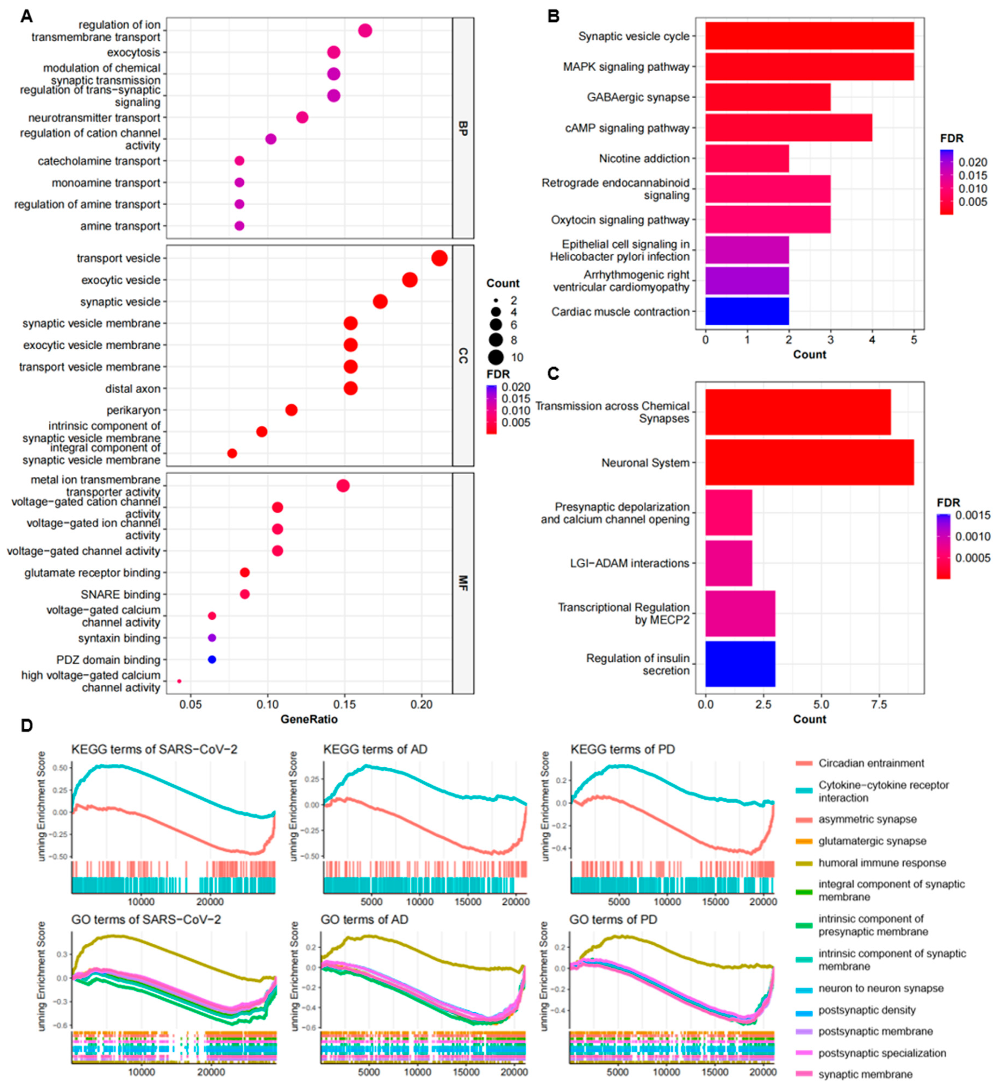 Ijms 24 04839 g003 Ijms 24 04839 g003
