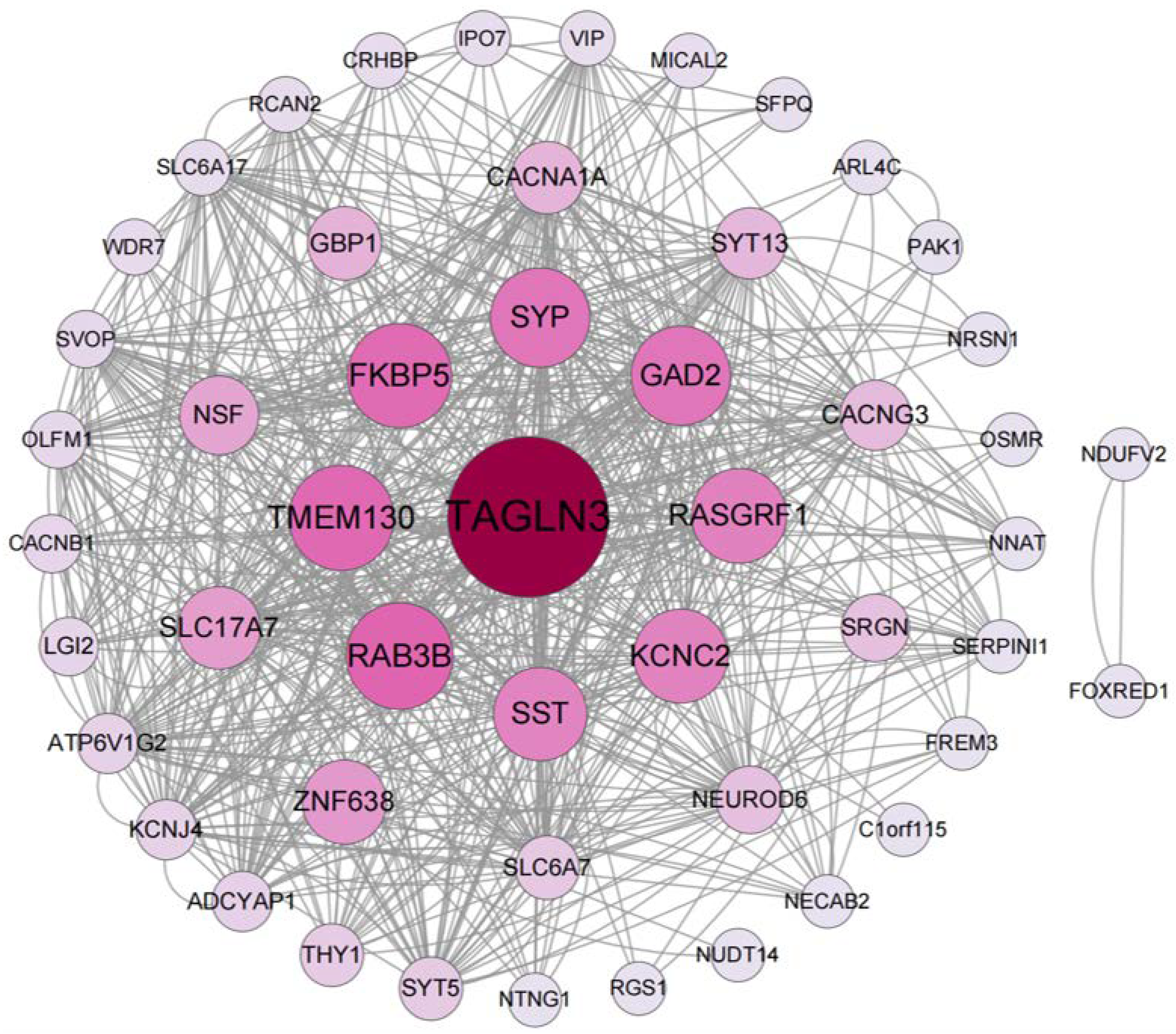 Ijms 24 04839 g005 Ijms 24 04839 g005