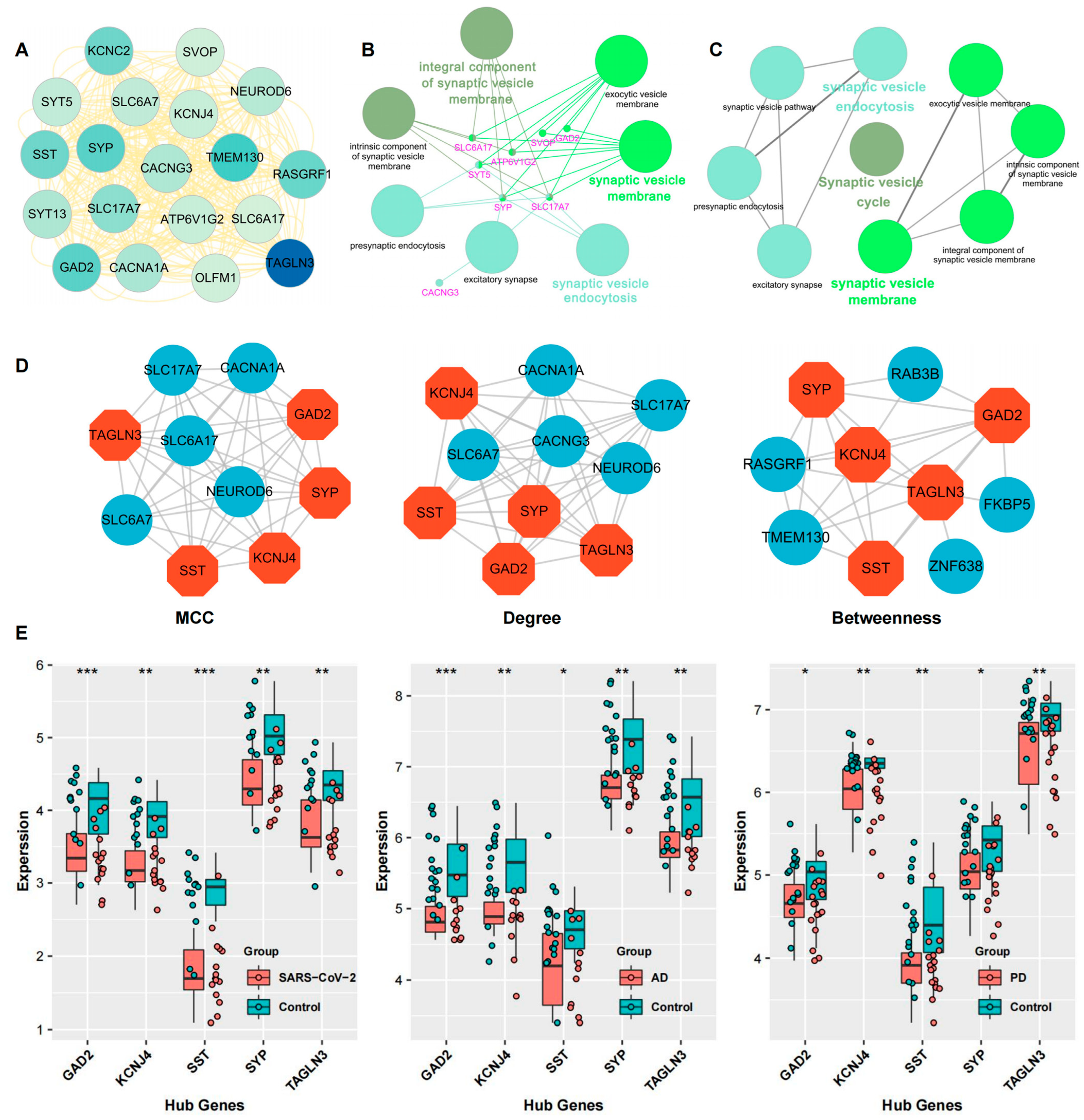 Ijms 24 04839 g006 Ijms 24 04839 g006