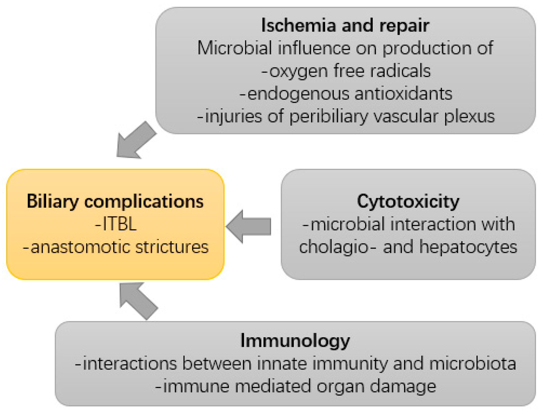 Ijms 24 04841 g002 Ijms 24 04841 g002