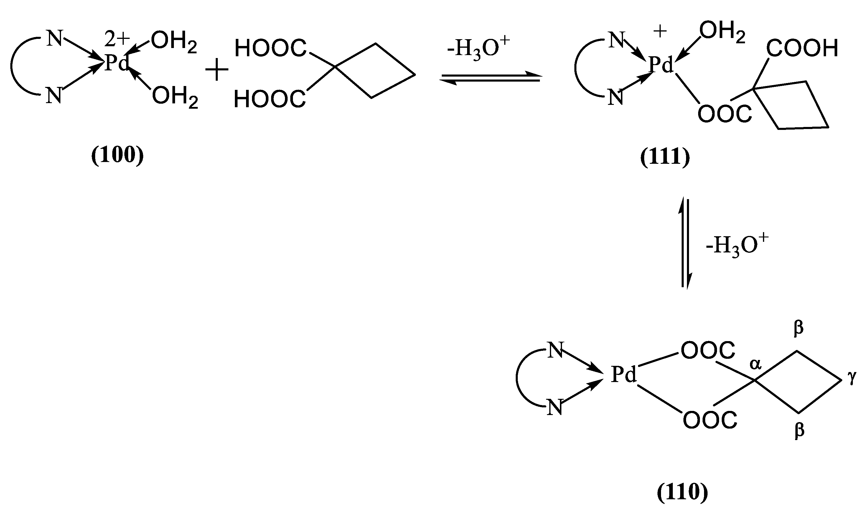 Ijms 24 04843 sch004