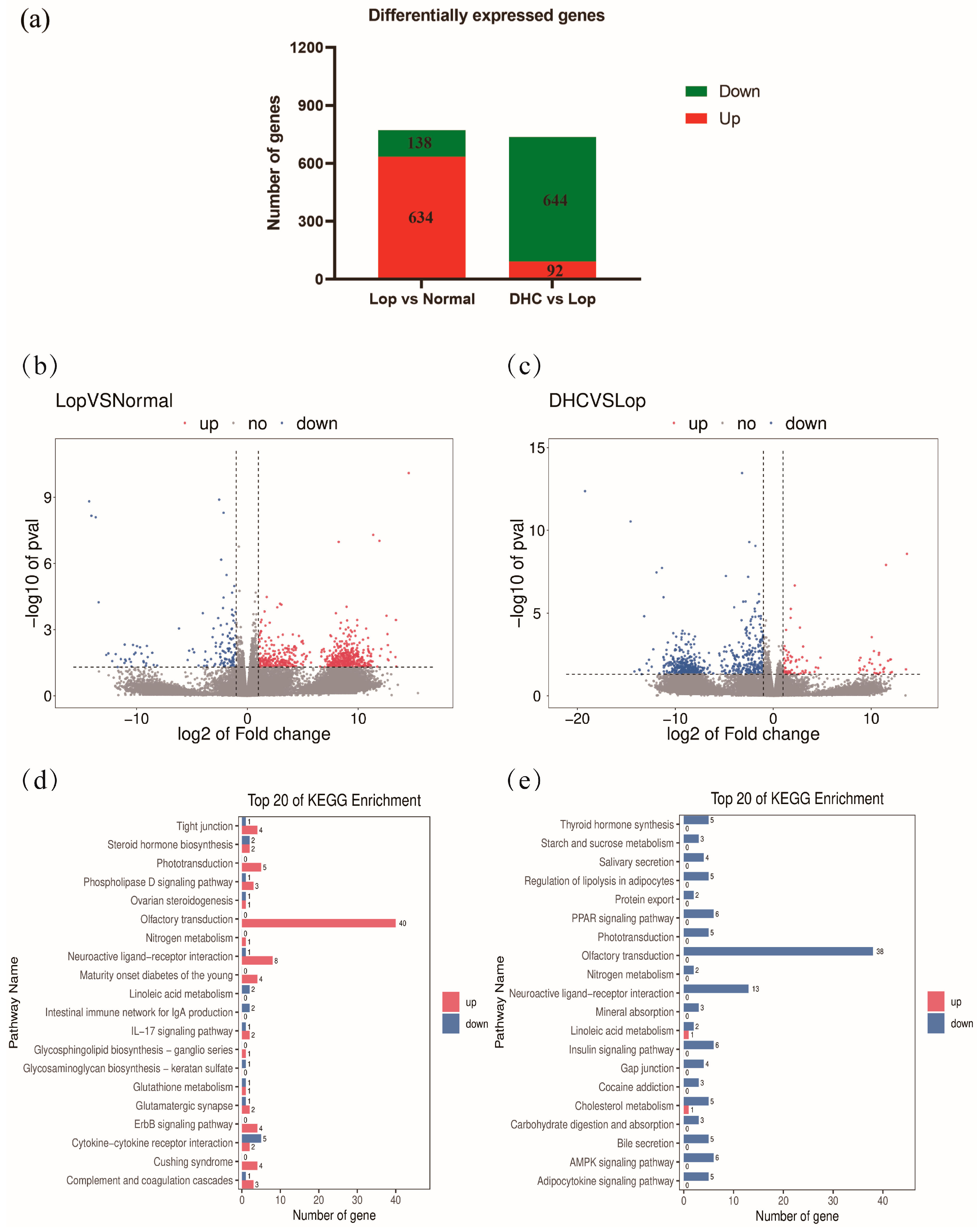 Ijms 24 04844 g005 Ijms 24 04844 g005