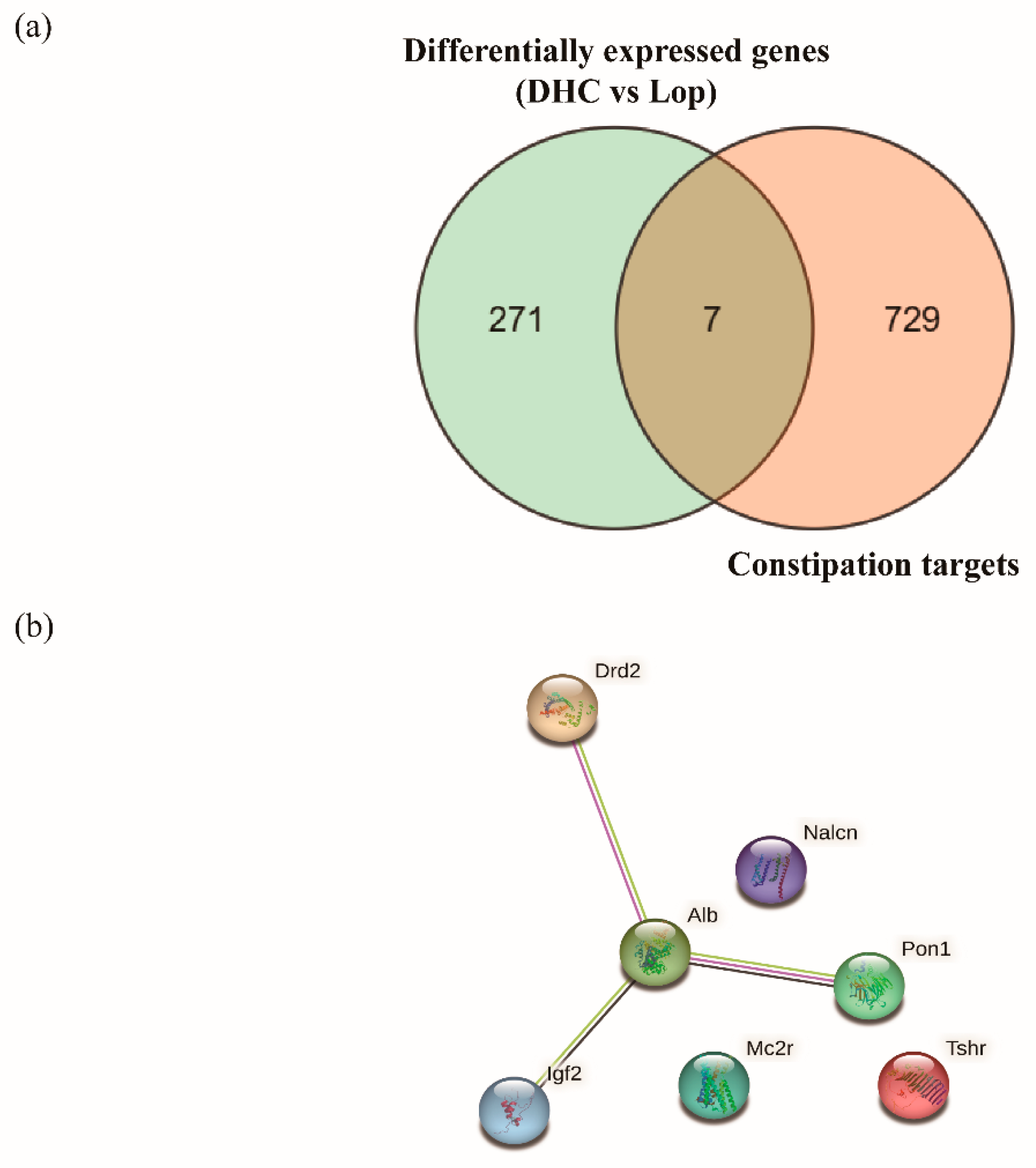 Ijms 24 04844 g006 Ijms 24 04844 g006