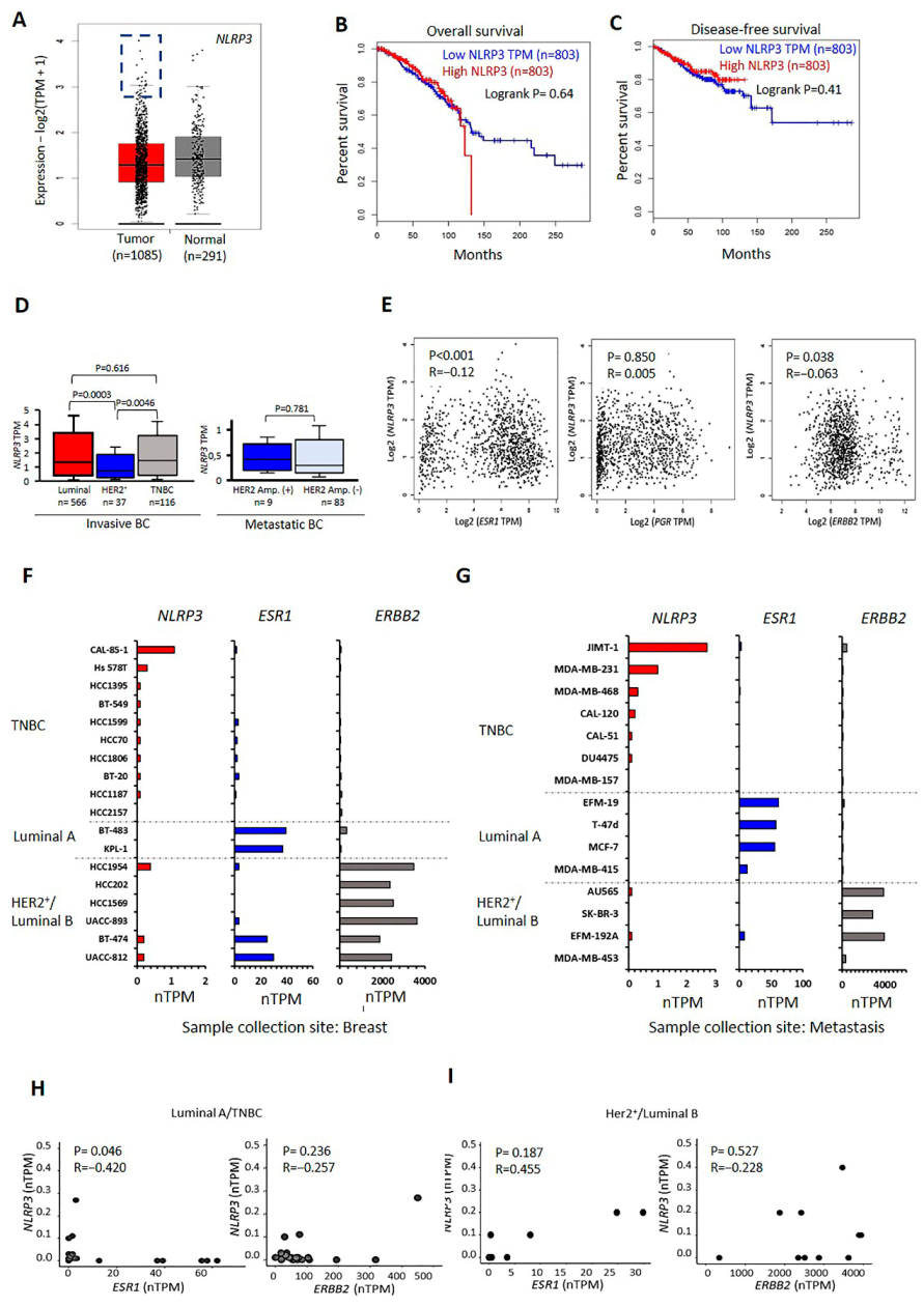 Ijms 24 04846 g001 Ijms 24 04846 g001