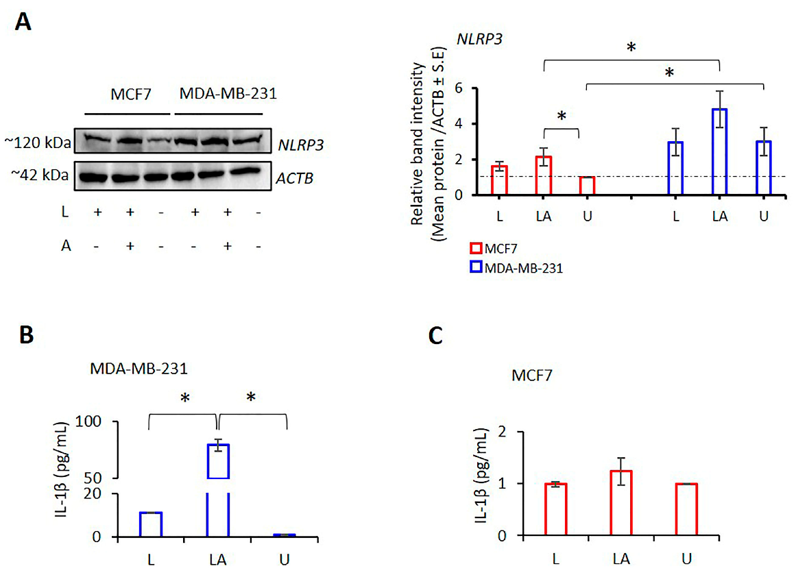 Ijms 24 04846 g002 Ijms 24 04846 g002