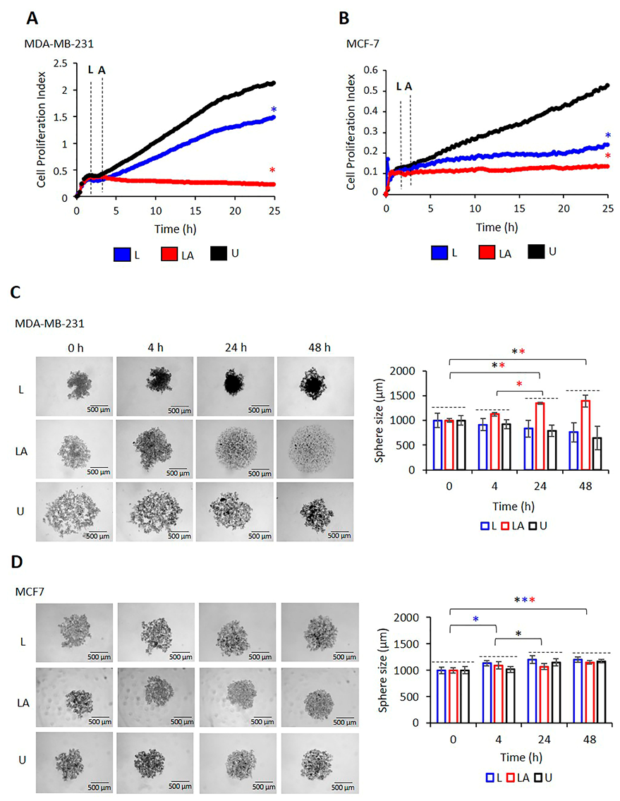 Ijms 24 04846 g003 Ijms 24 04846 g003